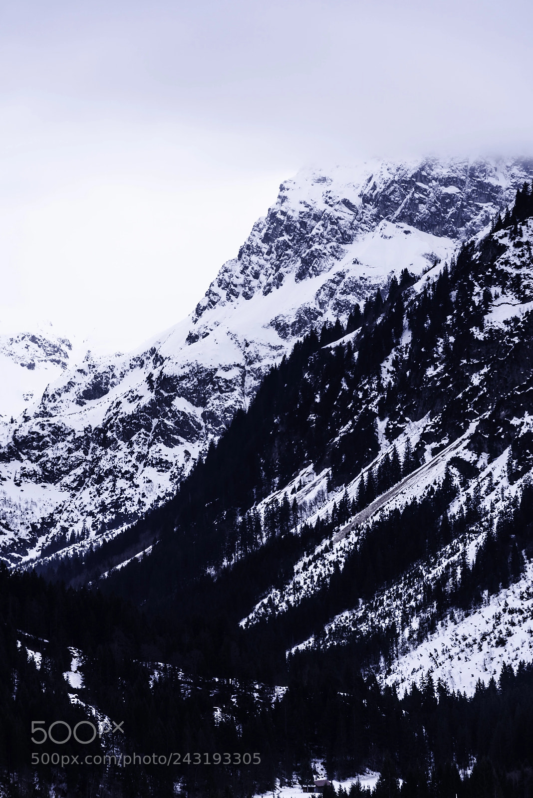 Nikon D810 sample photo. Mittelberg photography