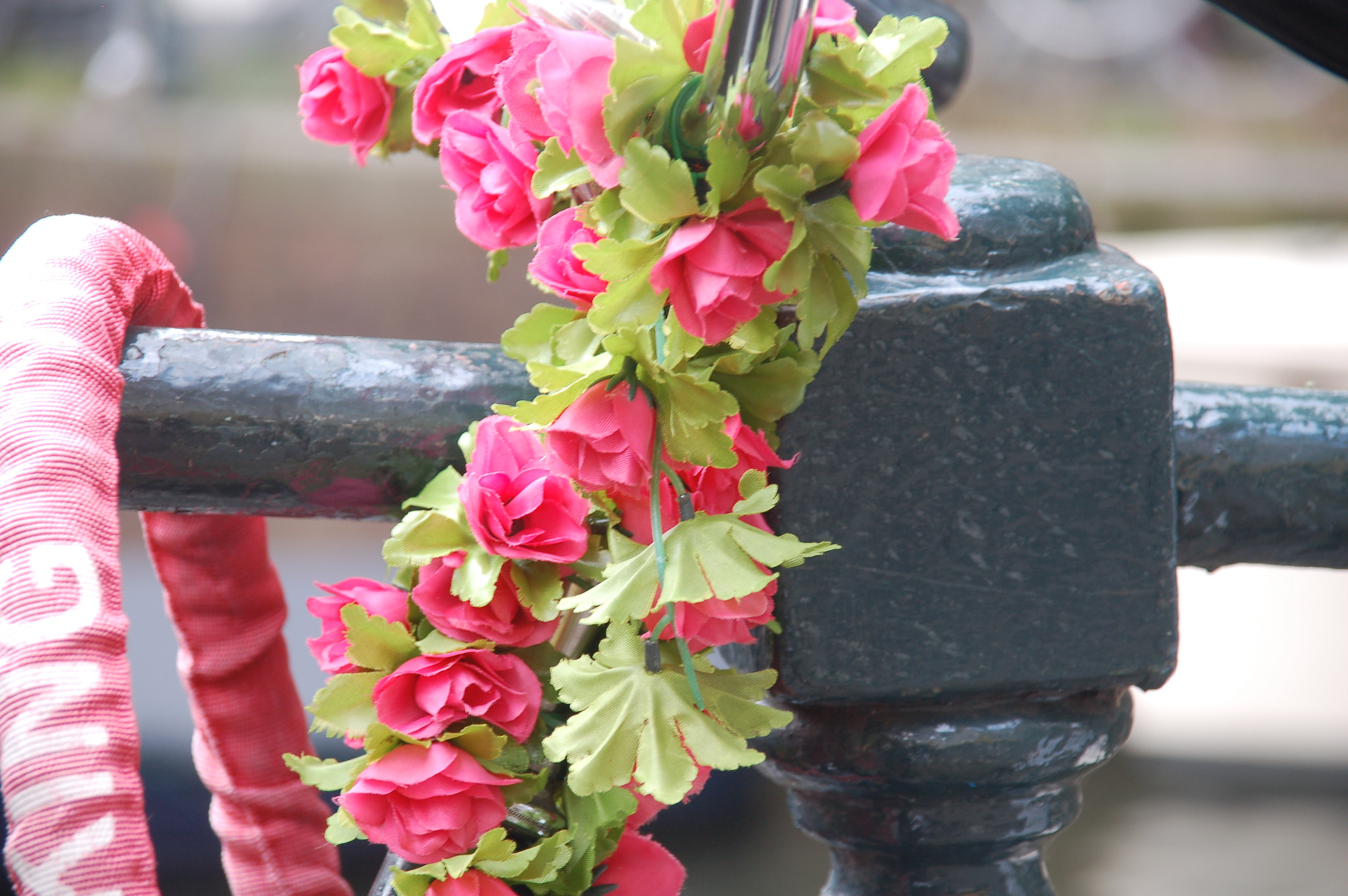 Sigma 18-125mm F3.8-5.6 DC HSM sample photo. Dsc photography