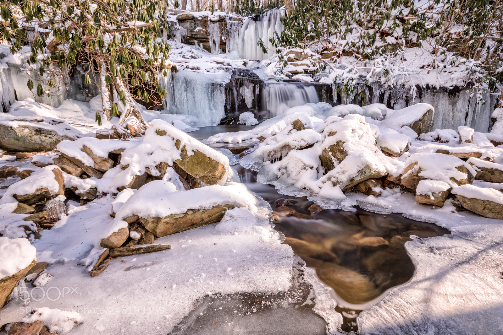 Canon EOS 7D Mark II sample photo. Cole run falls photography