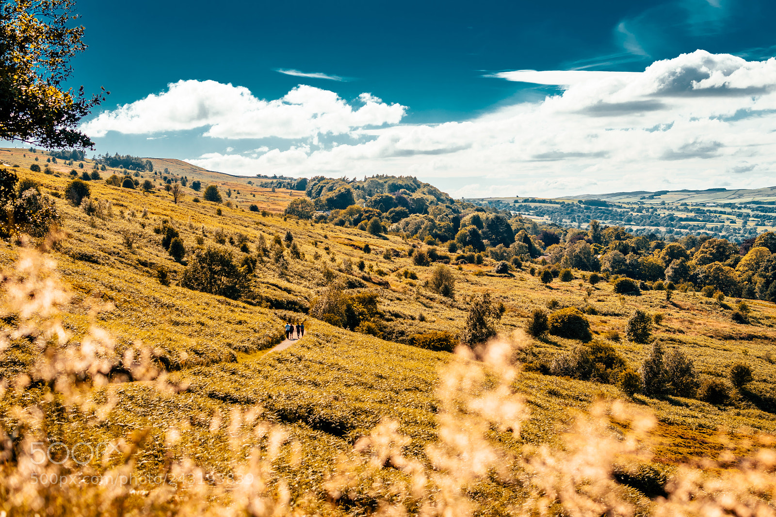 Nikon D5500 sample photo. Rjs photography