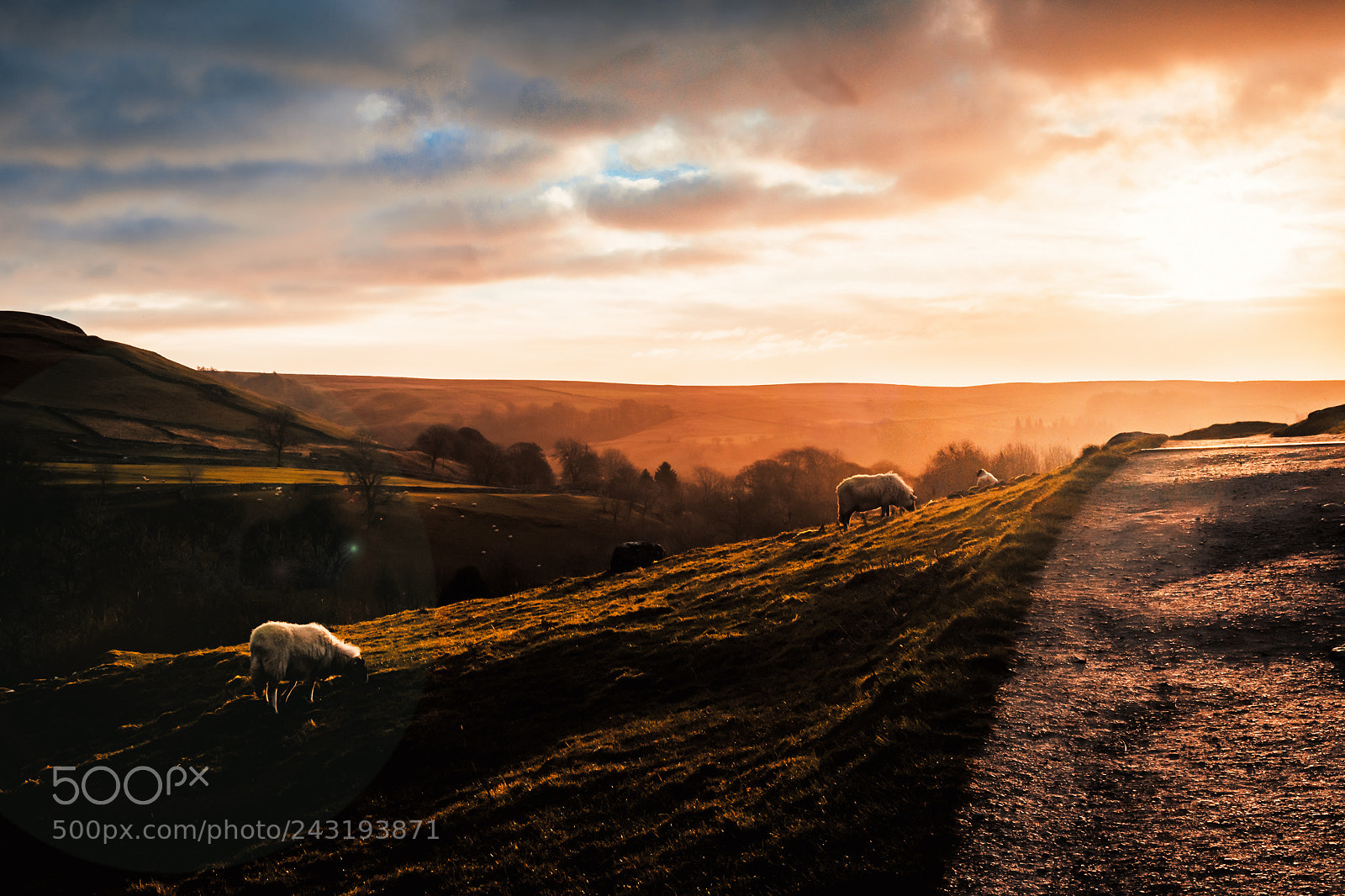 Nikon D5500 sample photo. Malham cove, malham photography