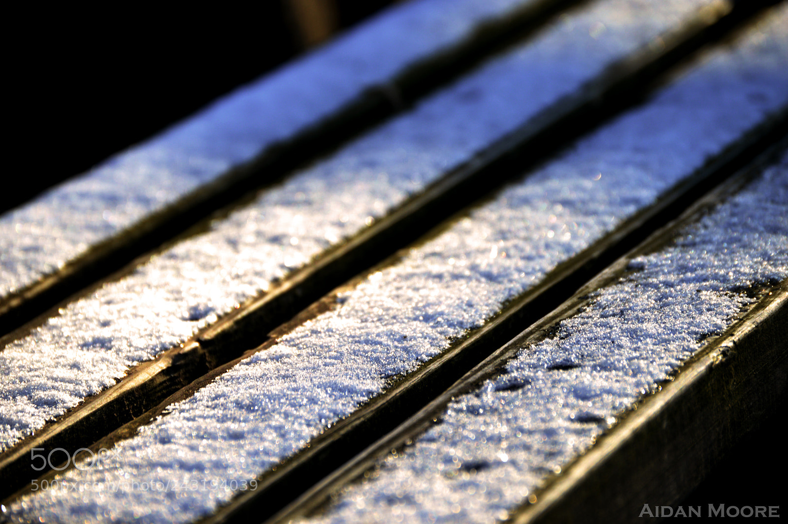 Nikon D3200 sample photo. Bench photography