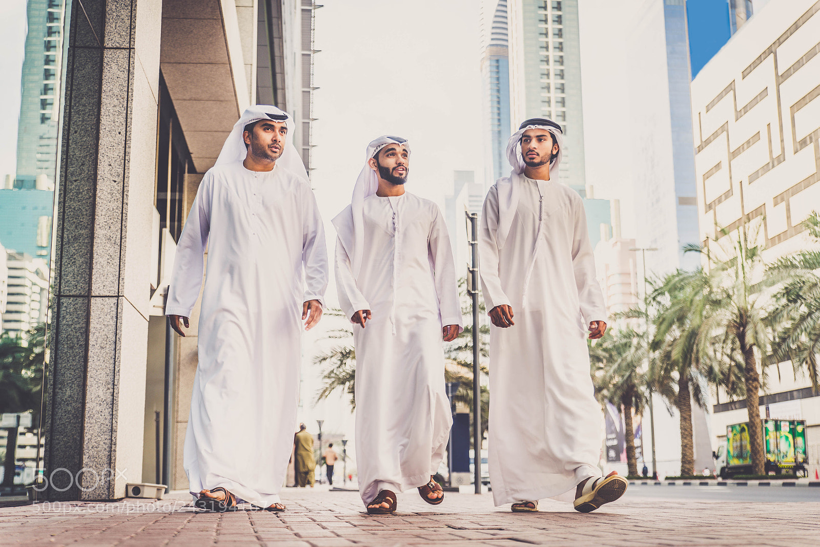 Nikon D610 sample photo. Arabian businessmen meeting outdoors photography