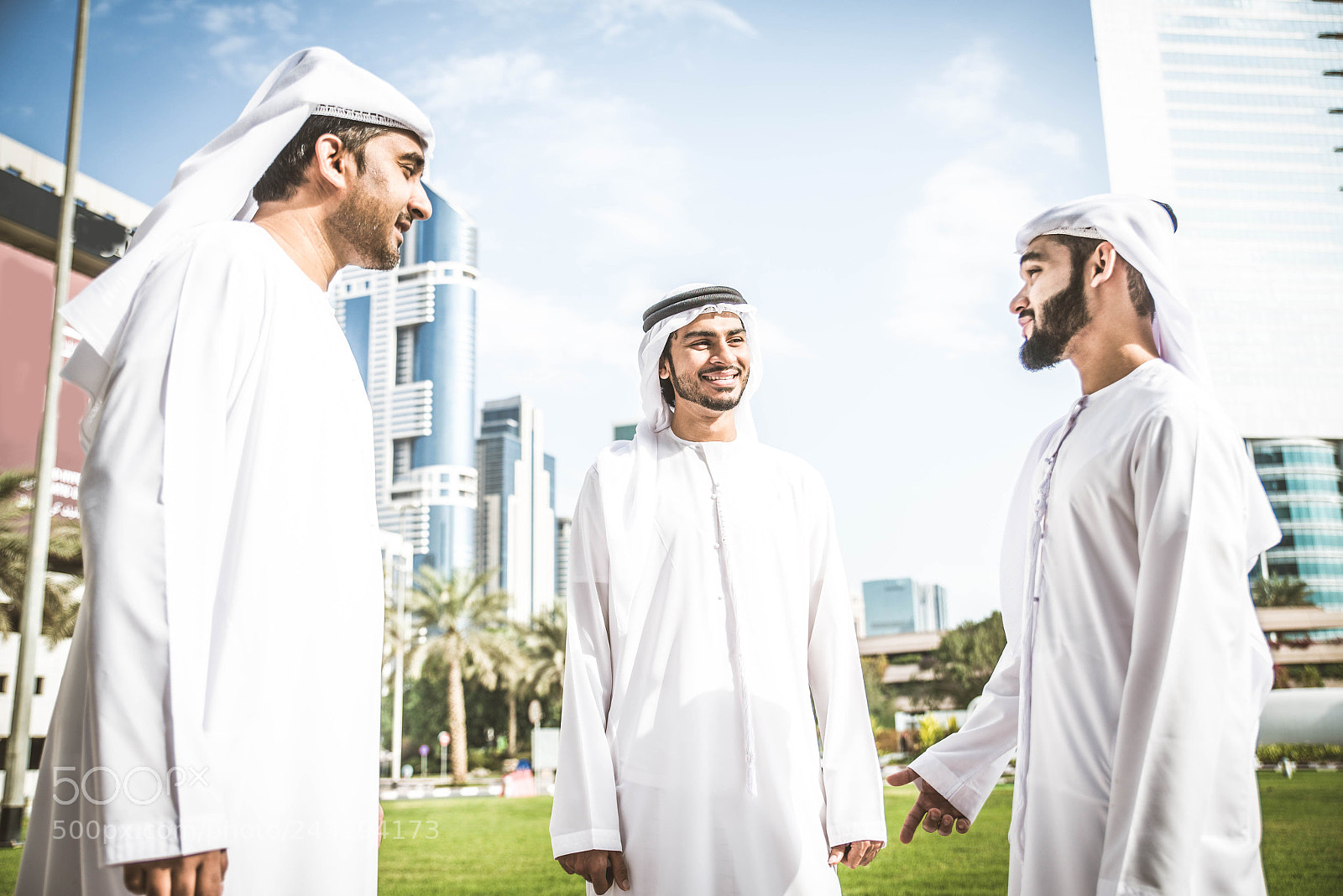 Nikon D610 sample photo. Arabian businessmen meeting outdoors photography