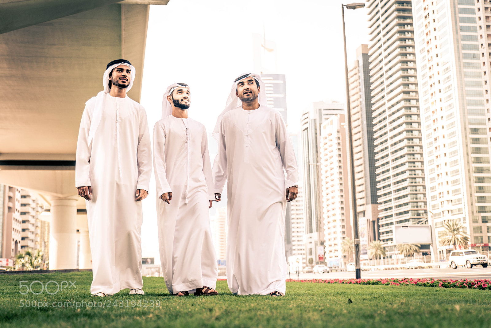 Nikon D610 sample photo. Arabian businessmen meeting outdoors photography