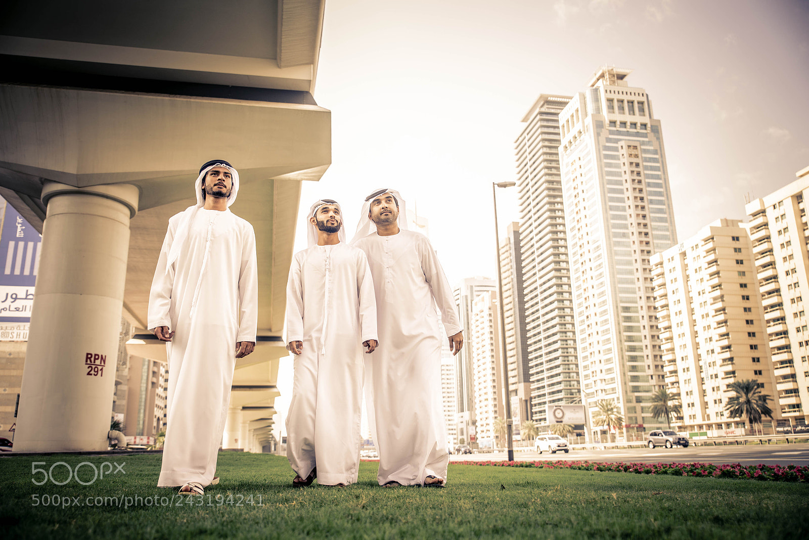 Nikon D610 sample photo. Arabian businessmen meeting outdoors photography