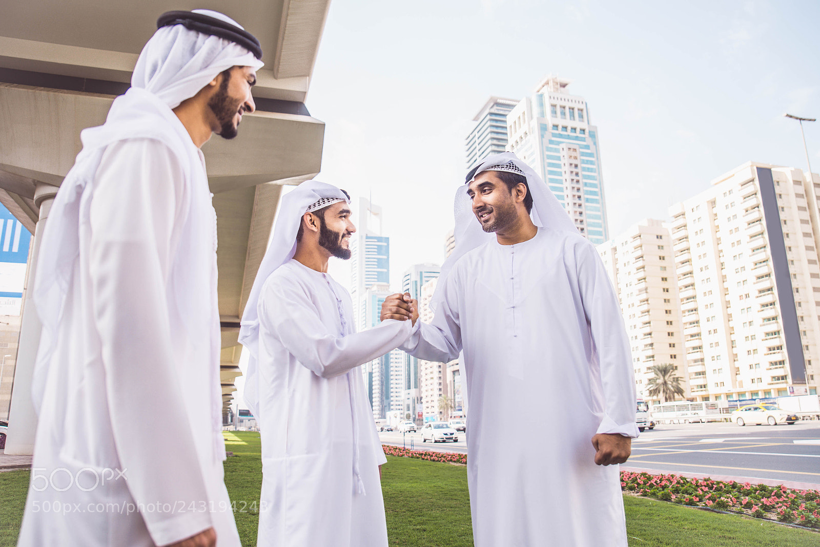 Nikon D610 sample photo. Arabian businessmen meeting outdoors photography