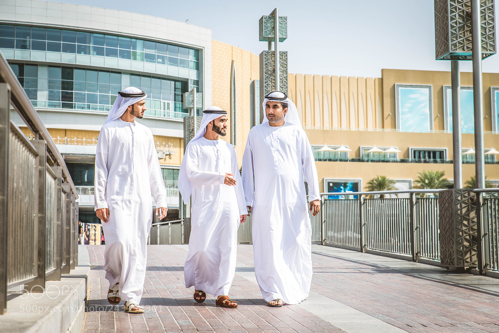 Nikon D610 sample photo. Arabian businessmen meeting outdoors photography