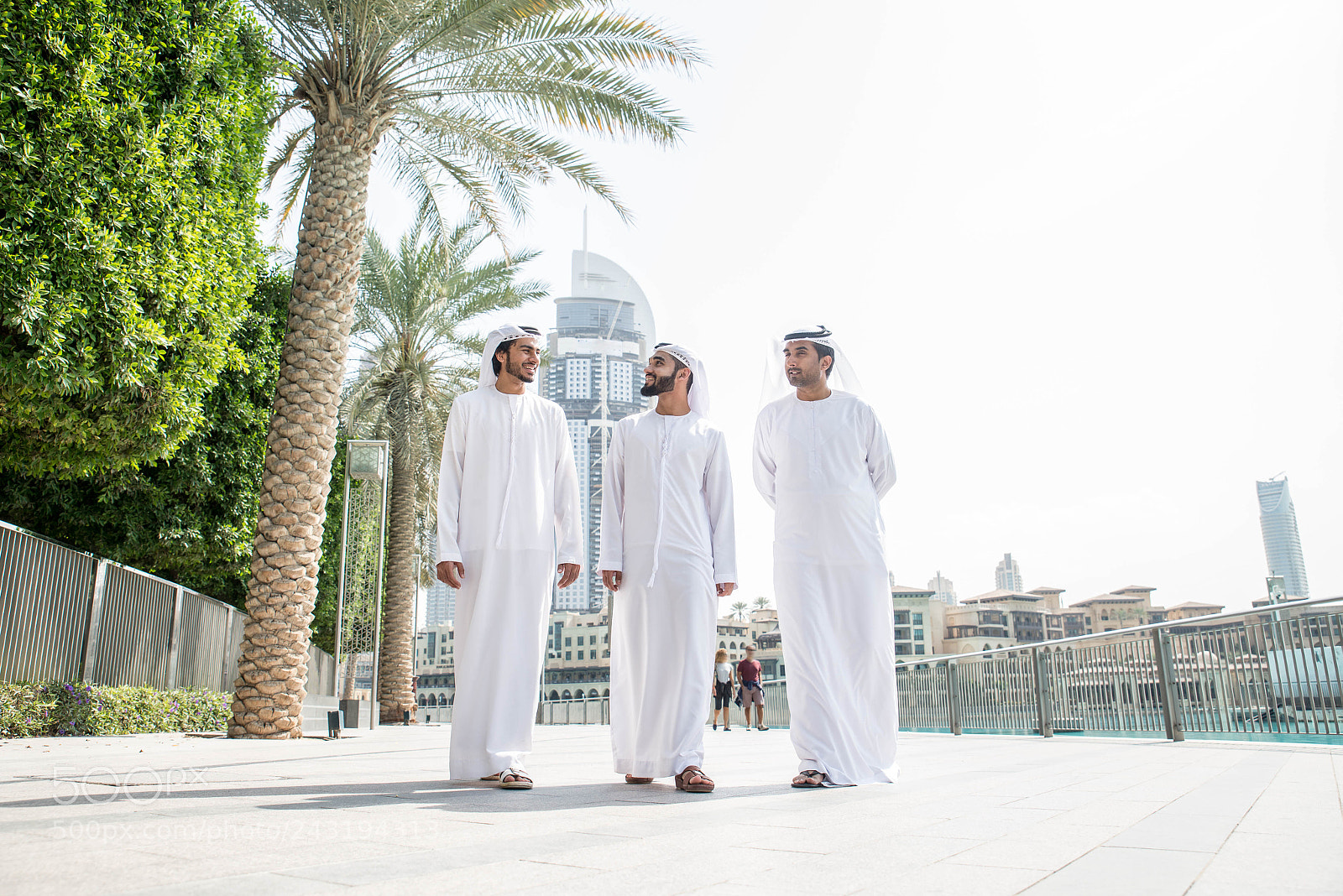 Nikon D610 sample photo. Arabian businessmen meeting outdoors photography
