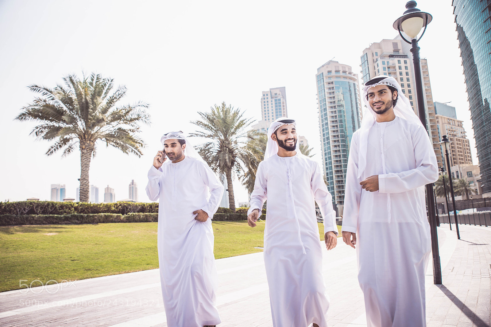 Nikon D610 sample photo. Arabian businessmen meeting outdoors photography
