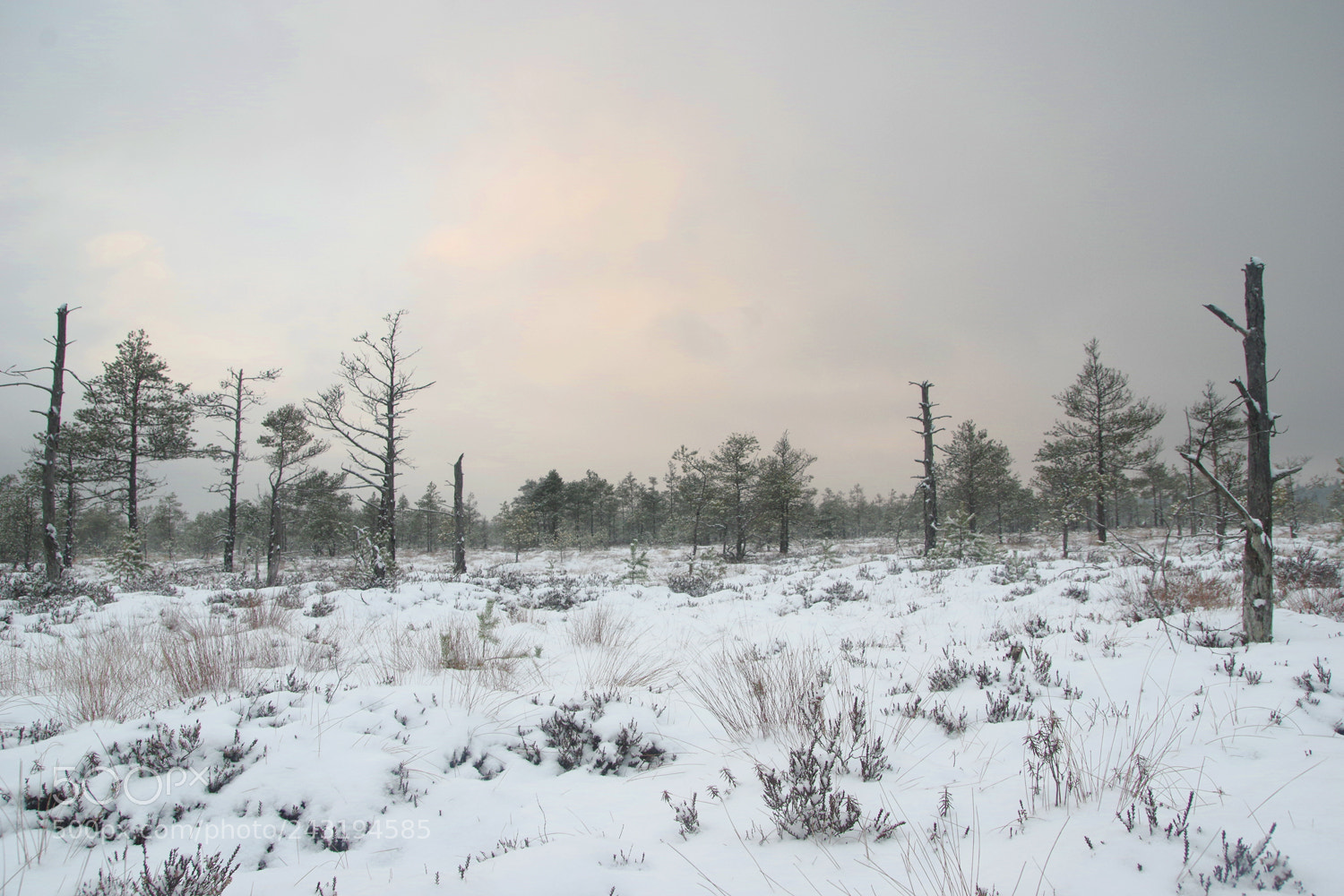 Pentax K-3 sample photo. Raba photography