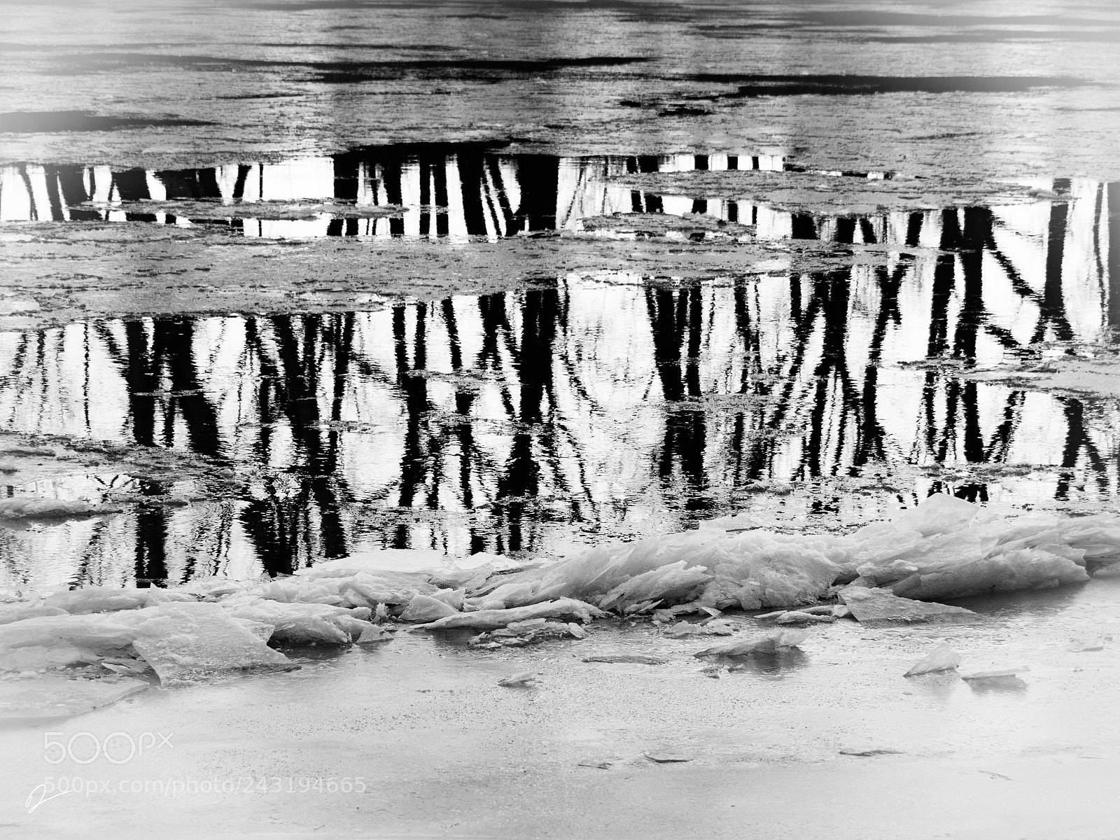Olympus PEN-F sample photo. Untitled photography