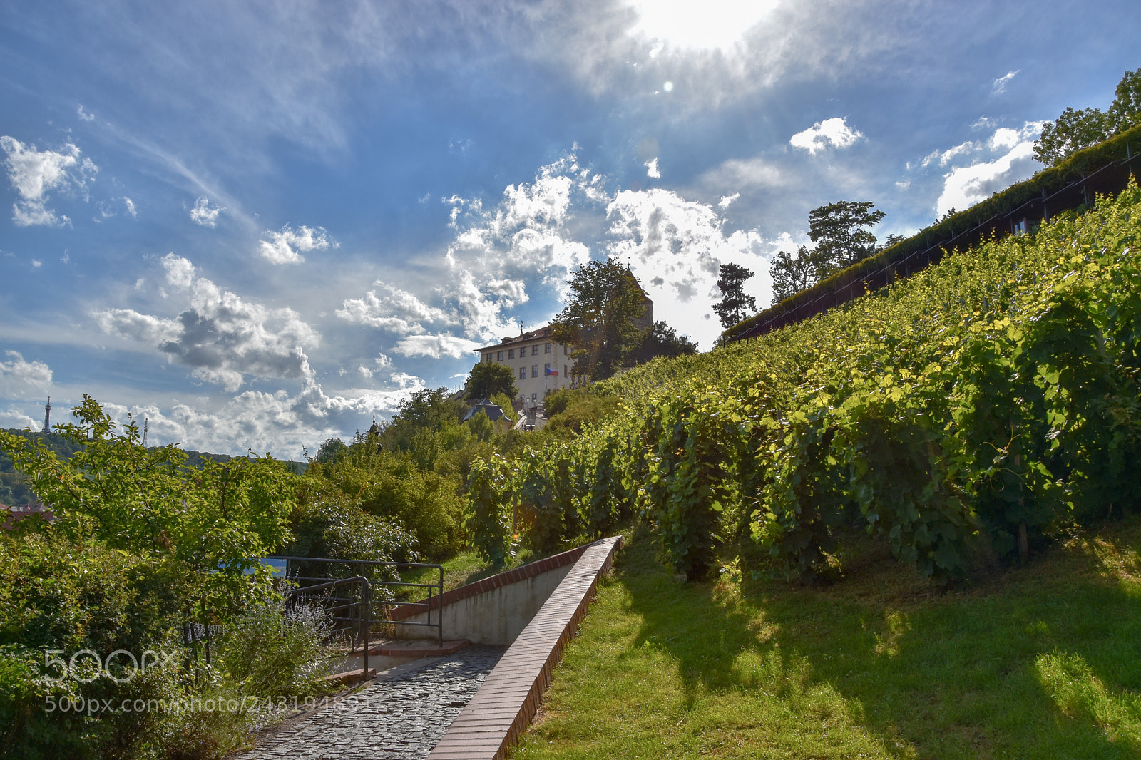 Nikon D5500 sample photo. Last summer photography