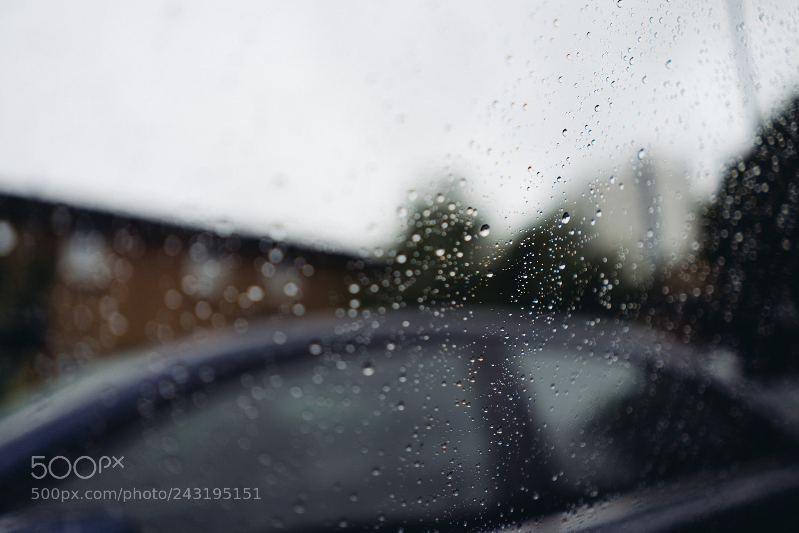 Sony a7S II sample photo. 20160903_rndms_000385 photography