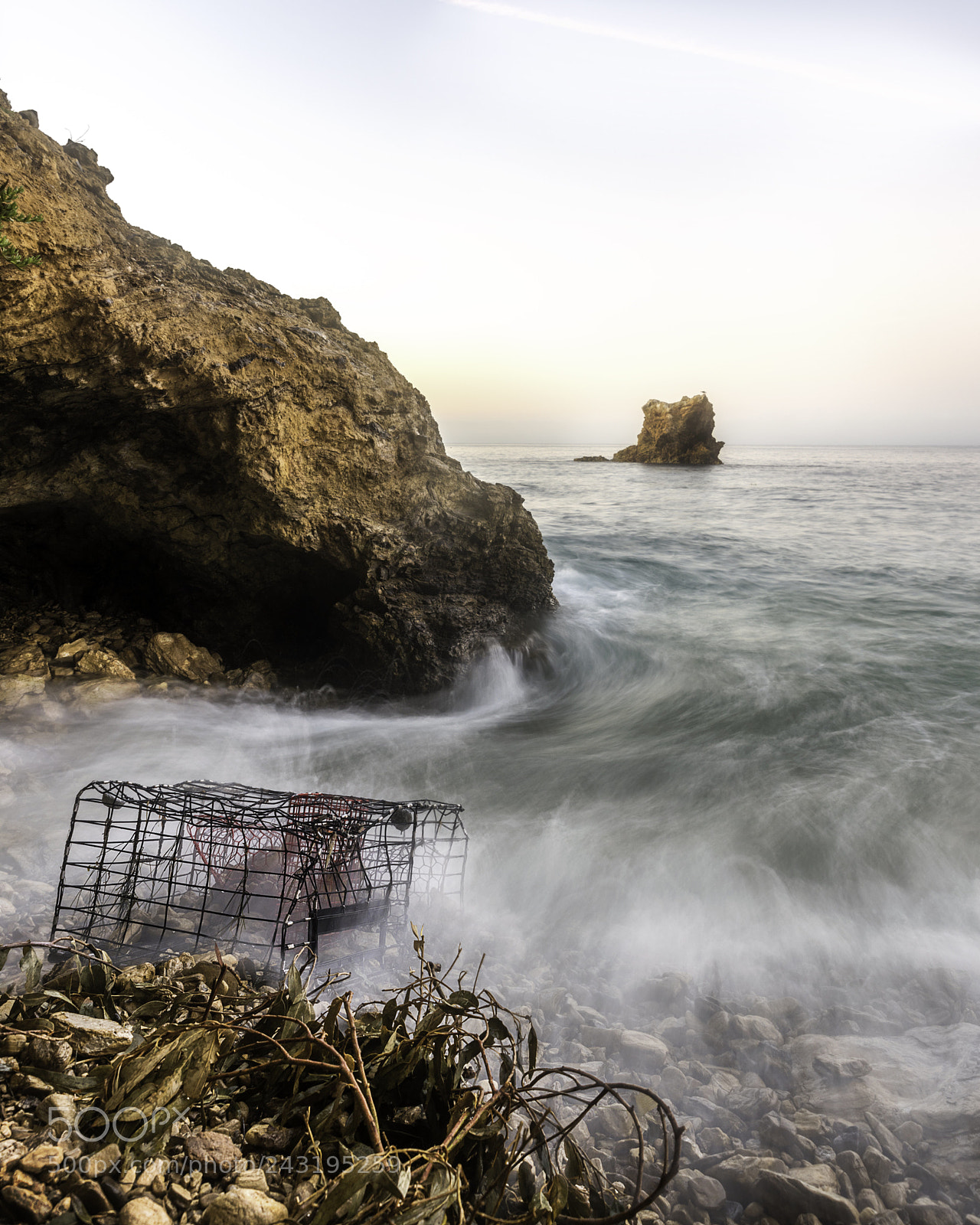 Nikon D810 sample photo. It’s a trap! photography