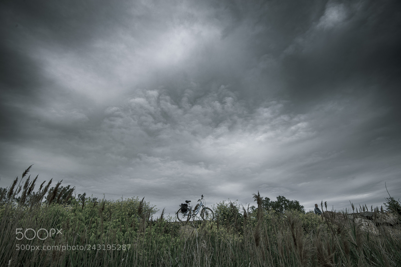Nikon D600 sample photo. Let's bike photography
