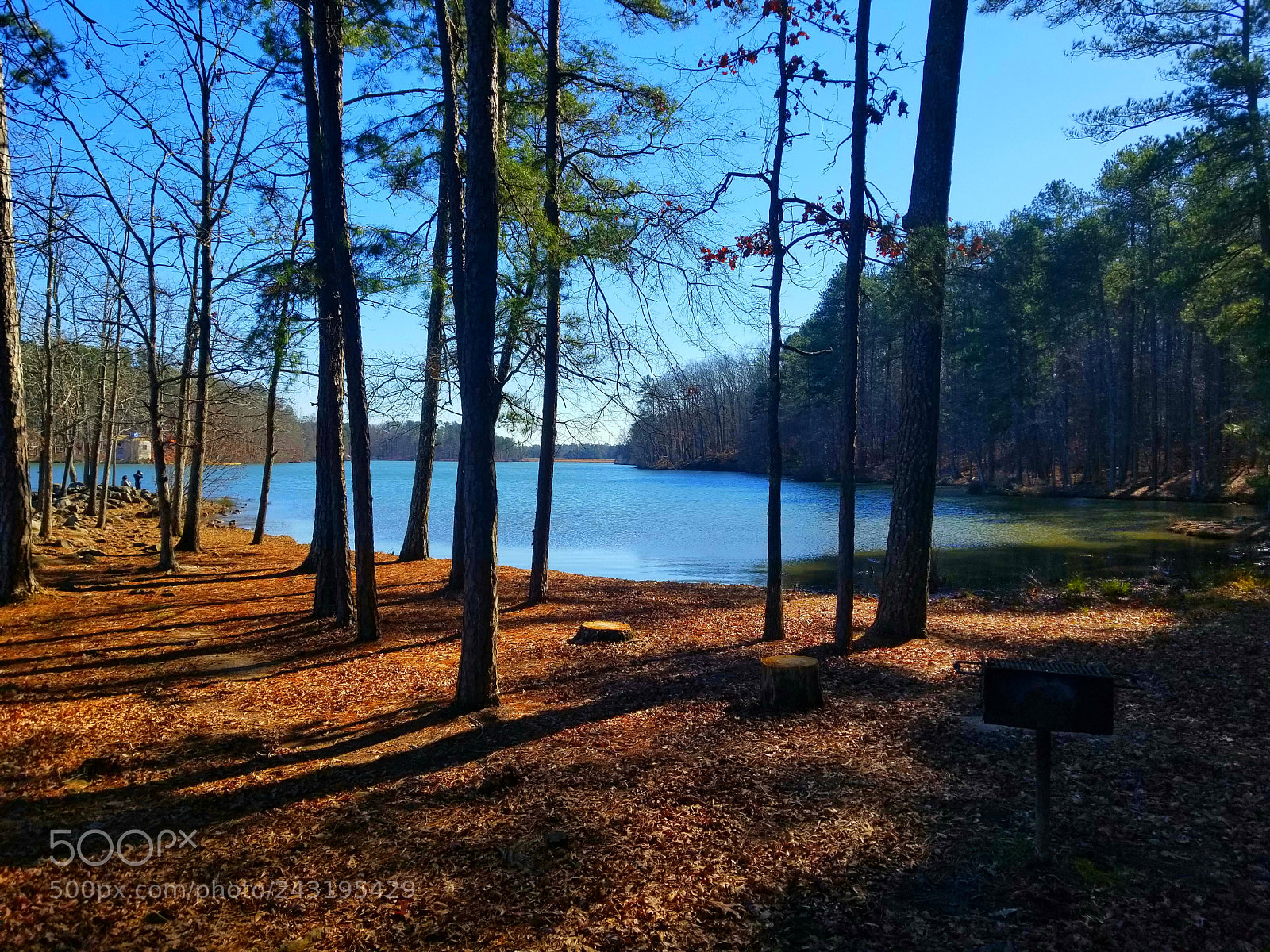 Samsung Galaxy S8+ sample photo. Untitled photography