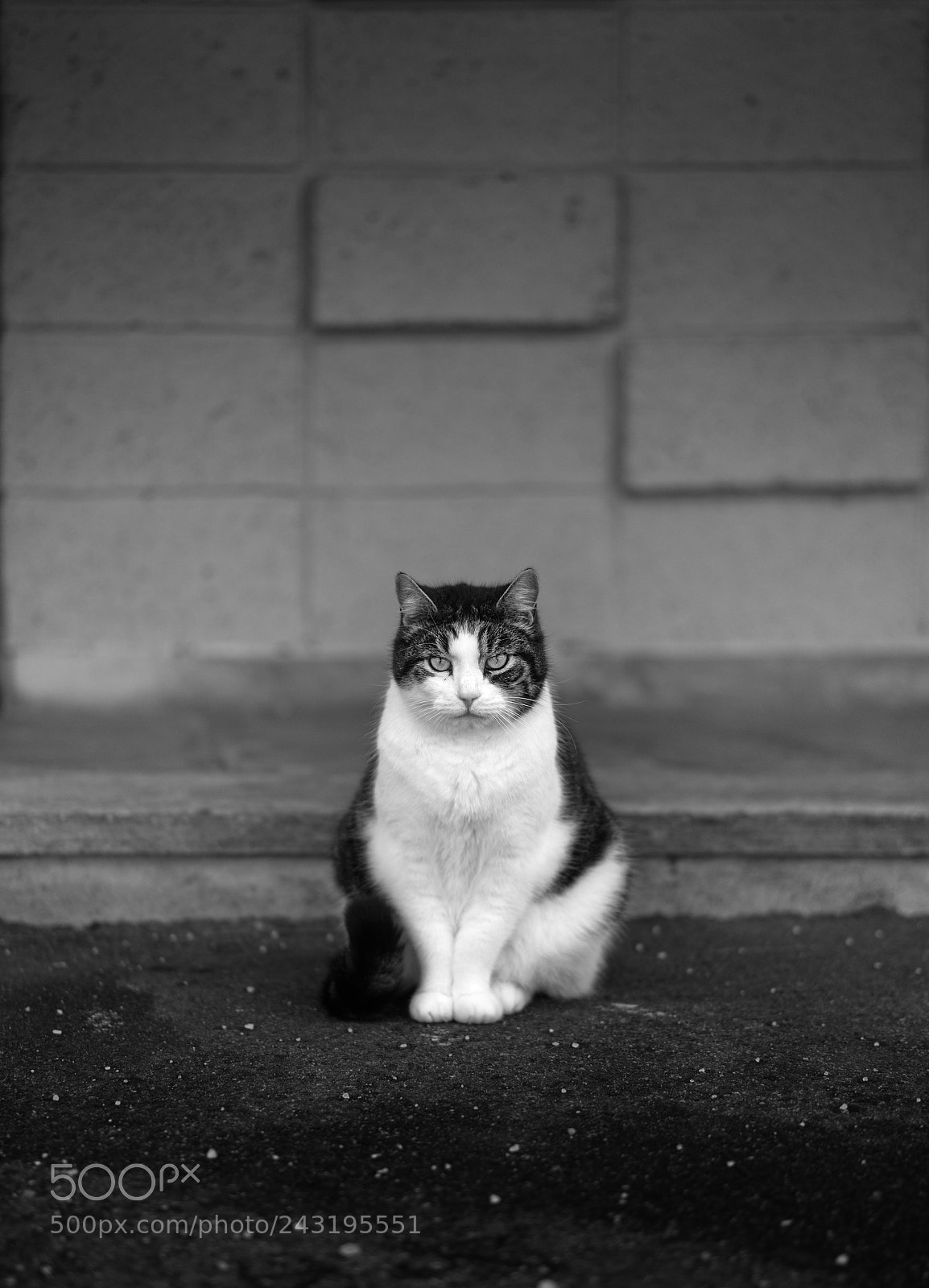 Sony a7 sample photo. Deep photography