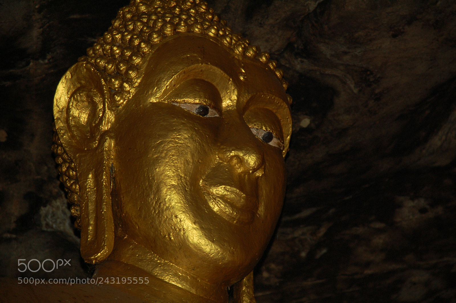 Nikon D50 + Sigma 18-125mm F3.8-5.6 DC HSM sample photo. Dsc photography