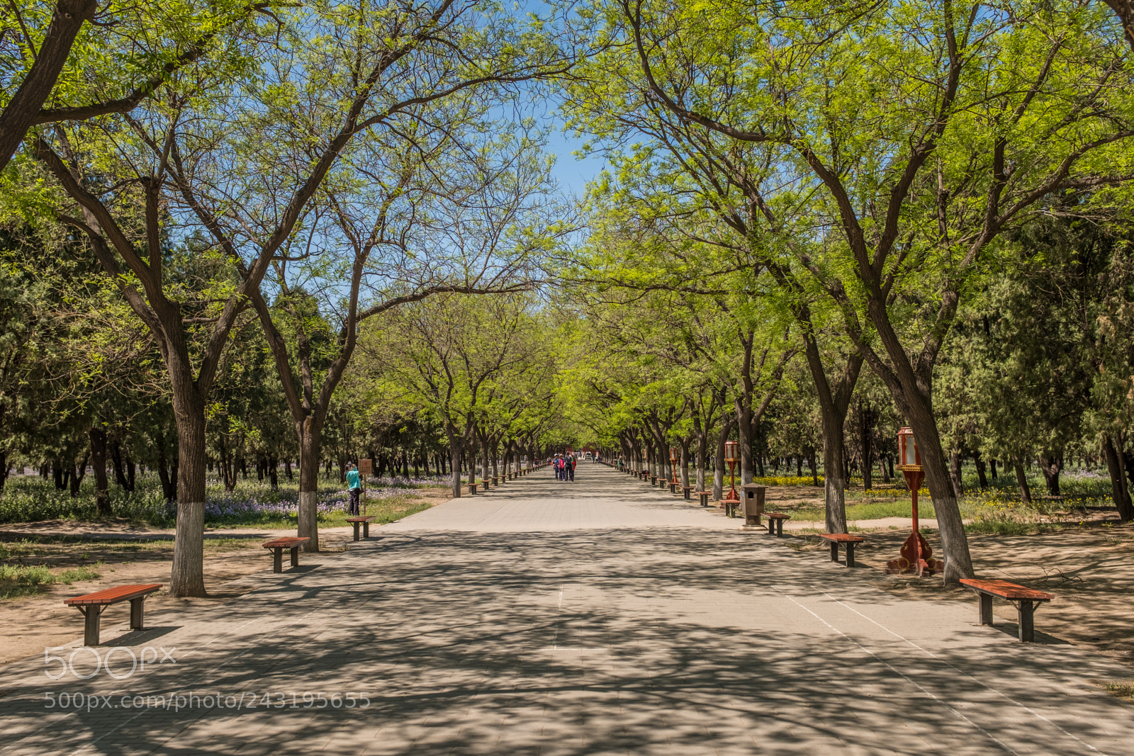 Fujifilm X100F sample photo. Beijing city, china photography