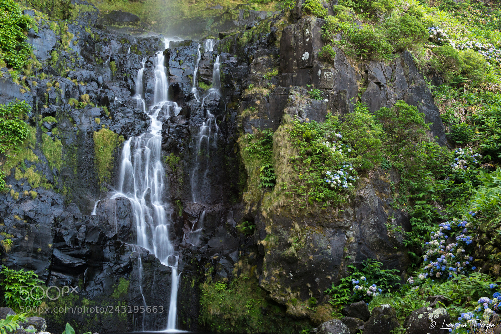 Nikon D610 sample photo. Ac ores santa cruz photography