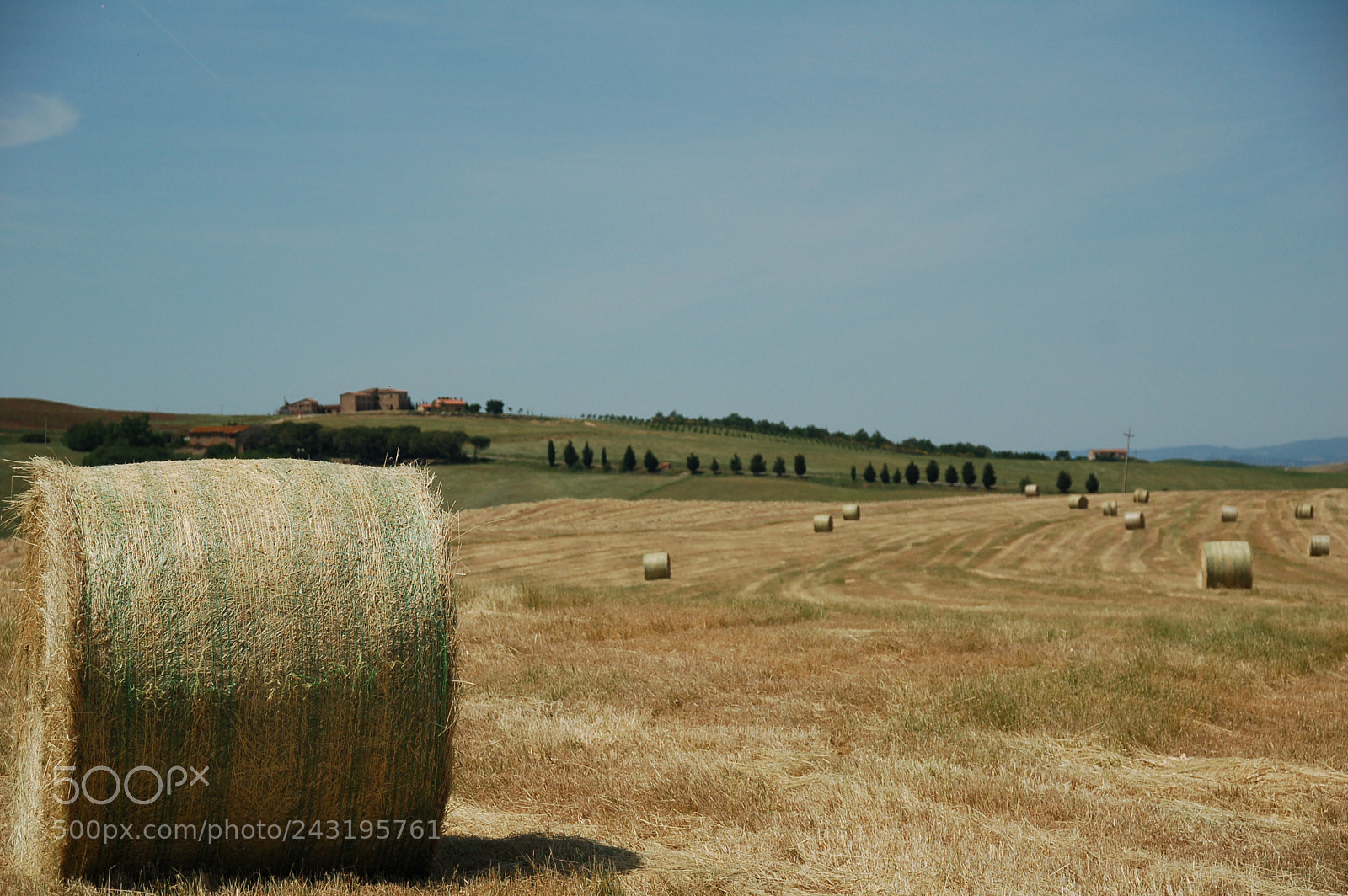 Sigma 18-125mm F3.8-5.6 DC HSM sample photo. () photography