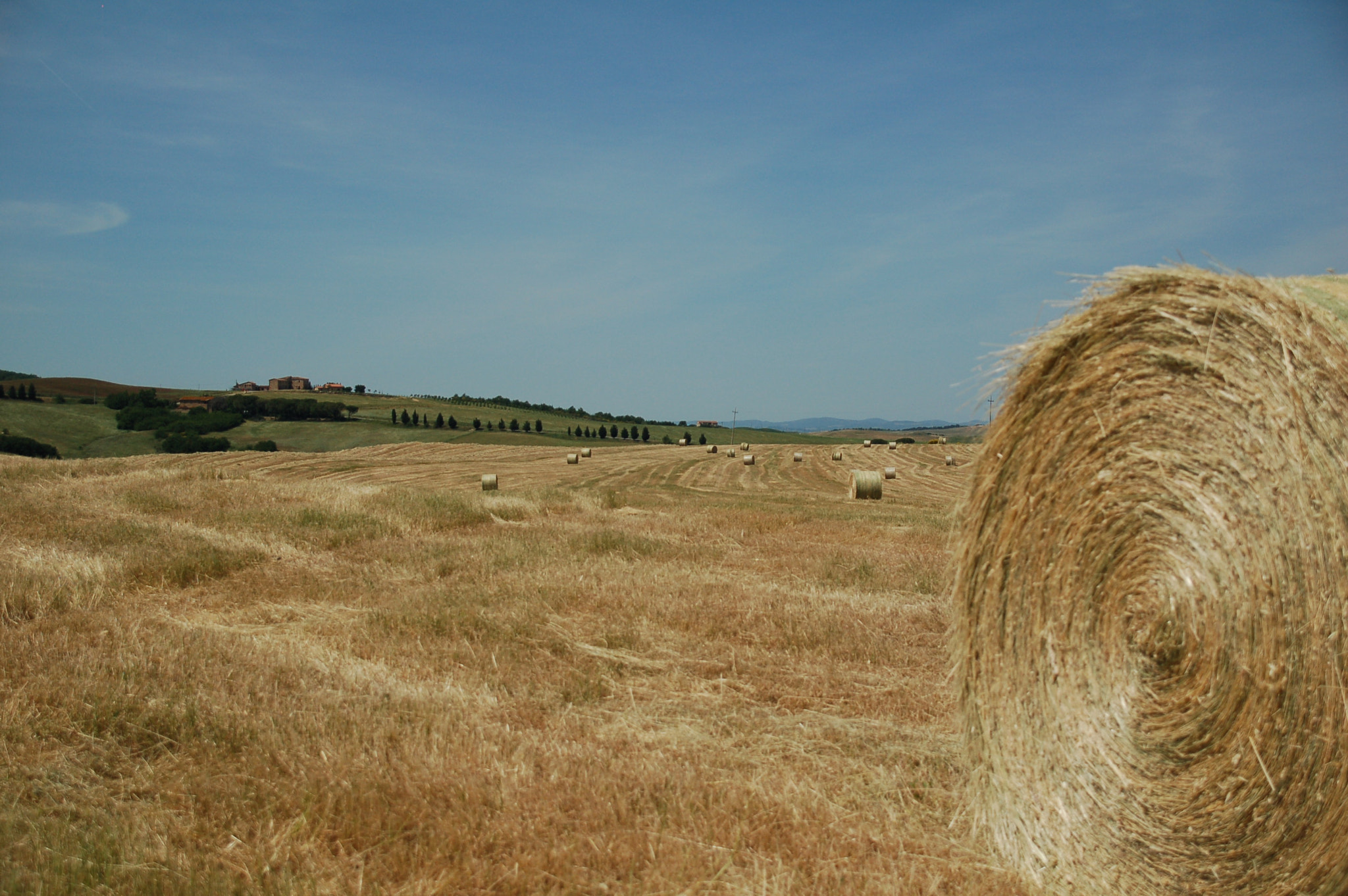 Nikon D50 + Sigma 18-125mm F3.8-5.6 DC HSM sample photo. Dsc photography