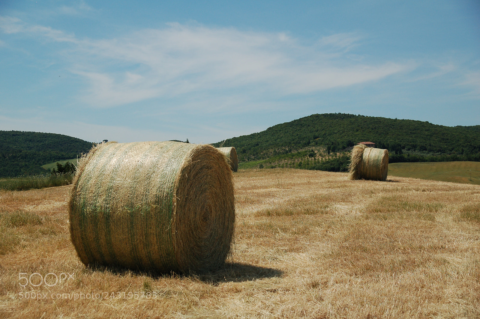 Nikon D50 + Sigma 18-125mm F3.8-5.6 DC HSM sample photo. Dsc photography