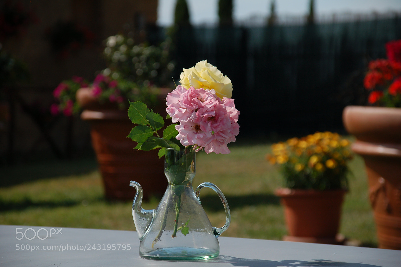 Nikon D50 + Sigma 18-125mm F3.8-5.6 DC HSM sample photo. Dsc photography