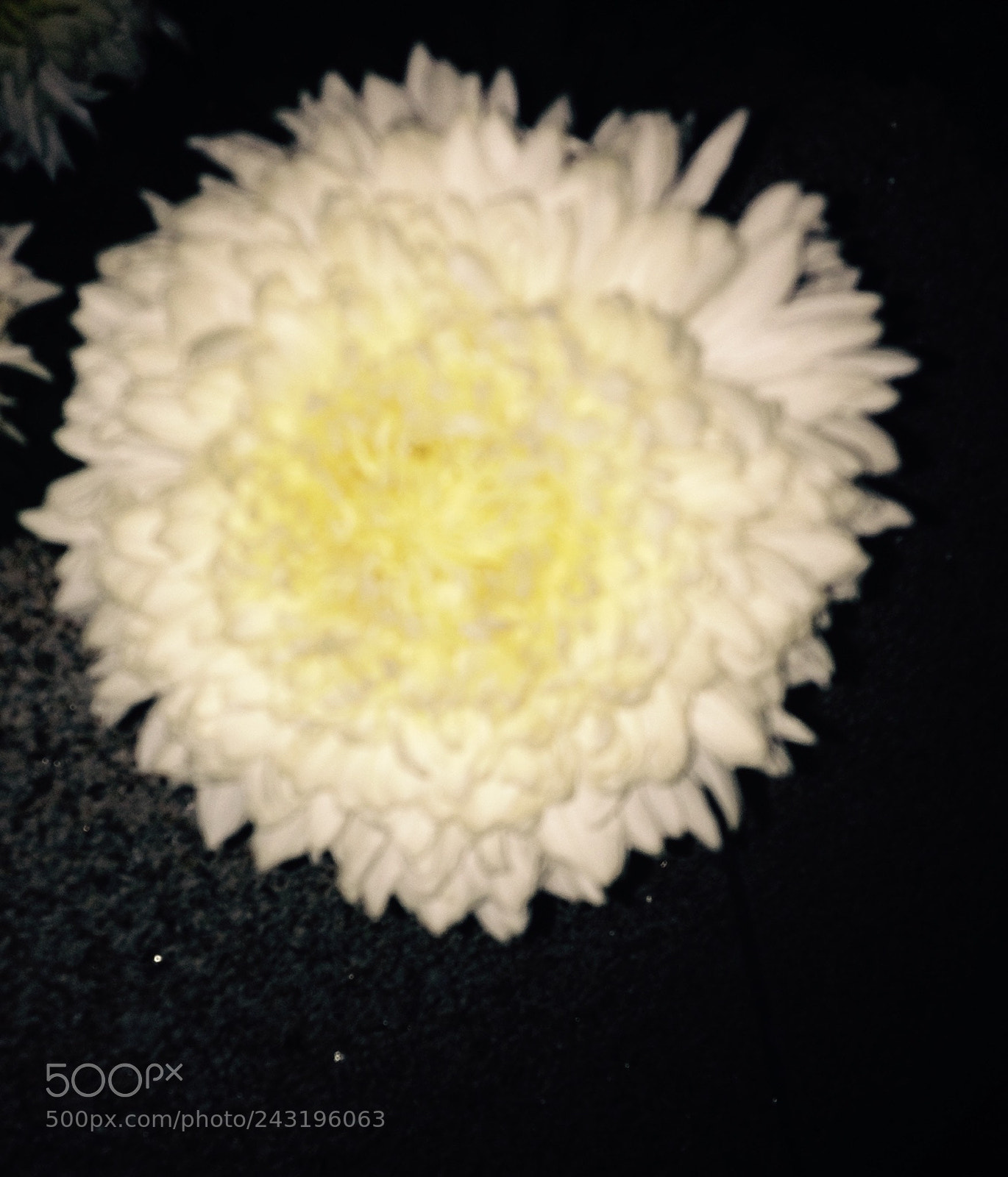 Apple iPhone 4S sample photo. Untitled photography