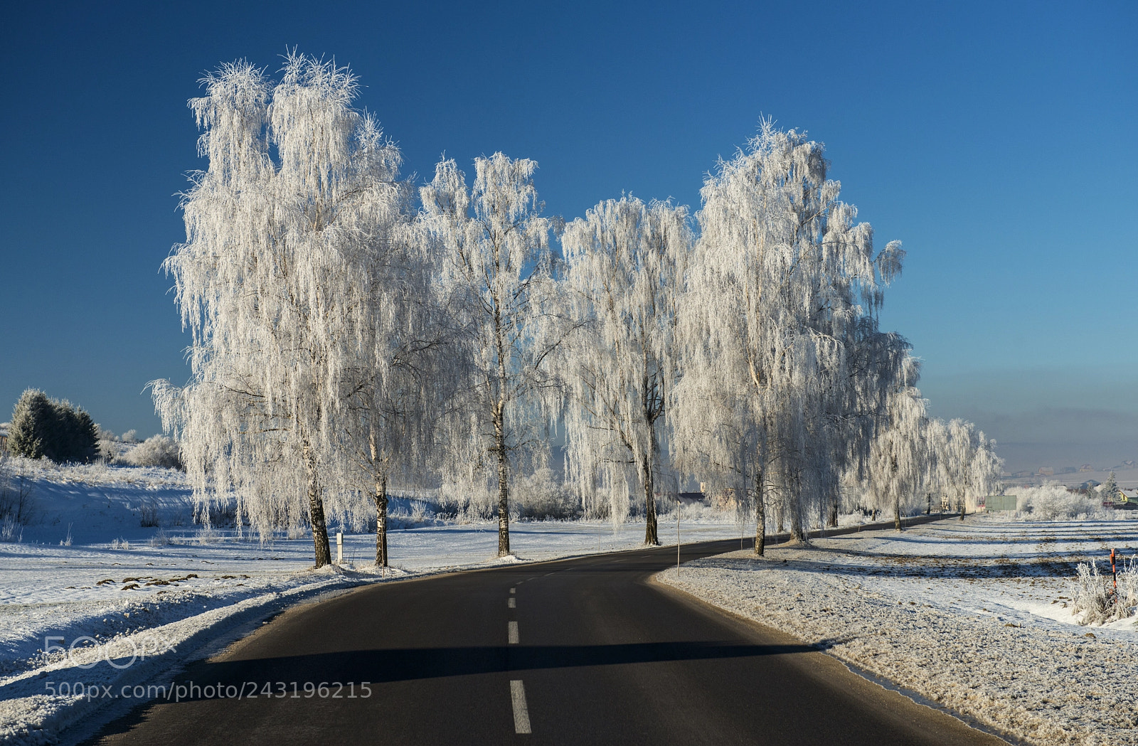 Nikon D800 sample photo. Winter road photography