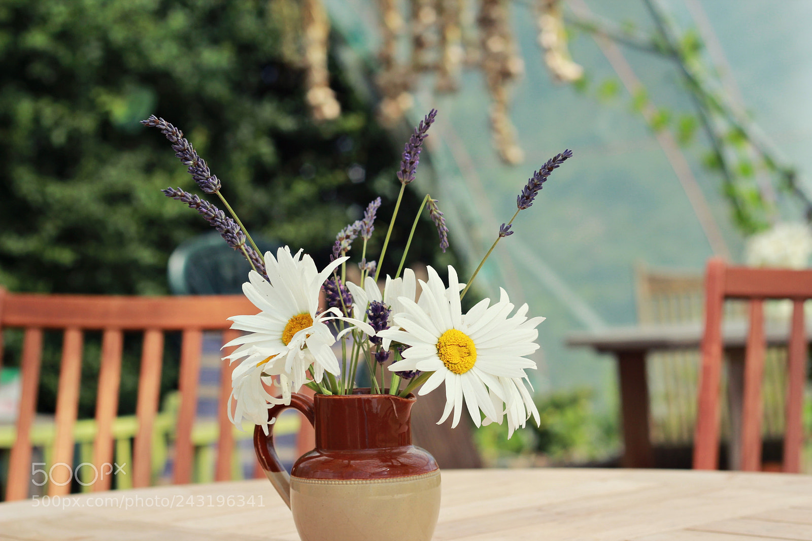 Canon EOS 600D (Rebel EOS T3i / EOS Kiss X5) + Canon EF 50mm F1.8 II sample photo. One summer day photography