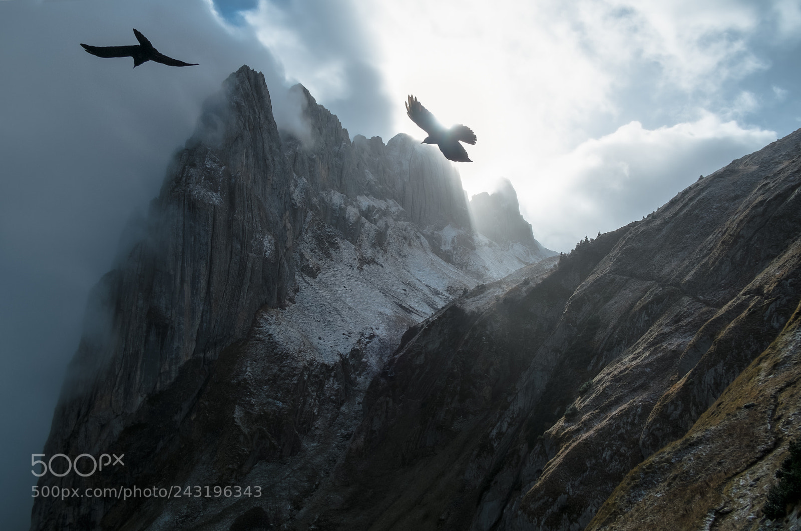 Fujifilm X-Pro1 sample photo. Birds over the kreuzberge photography