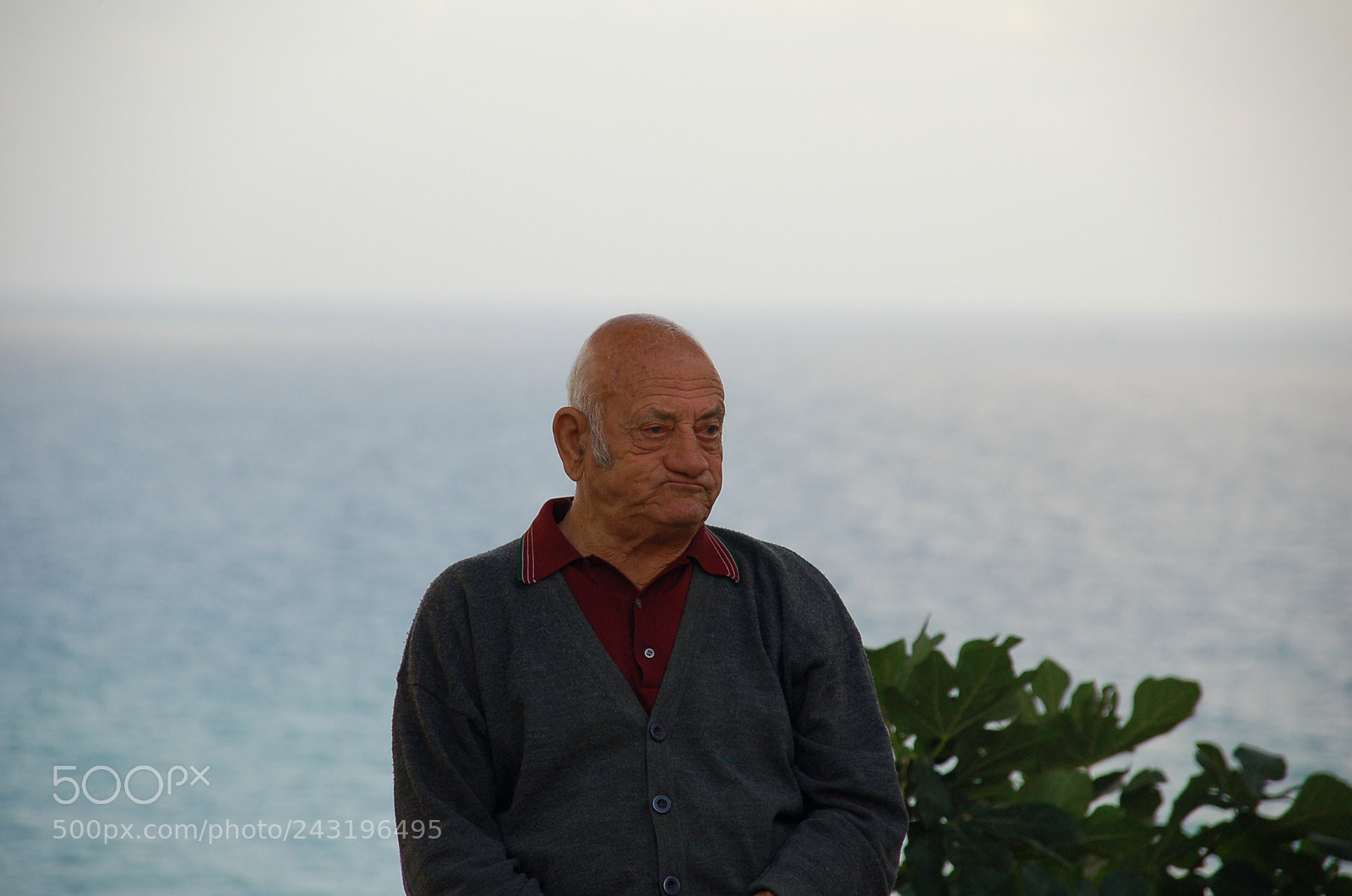 Nikon D50 + Sigma 18-125mm F3.8-5.6 DC HSM sample photo. Dsc photography