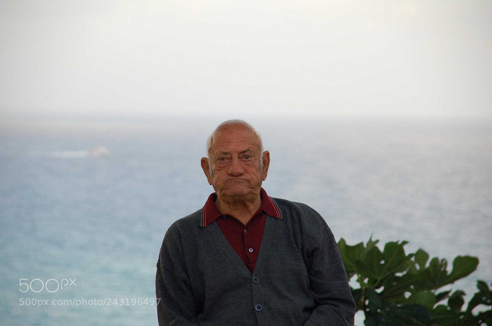 Nikon D50 + Sigma 18-125mm F3.8-5.6 DC HSM sample photo. Dsc photography