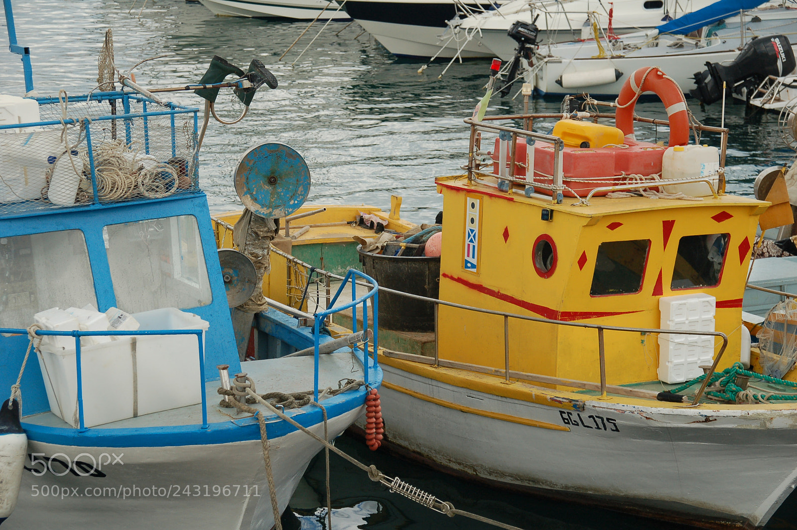 Nikon D50 + Sigma 18-125mm F3.8-5.6 DC HSM sample photo. Dsc photography