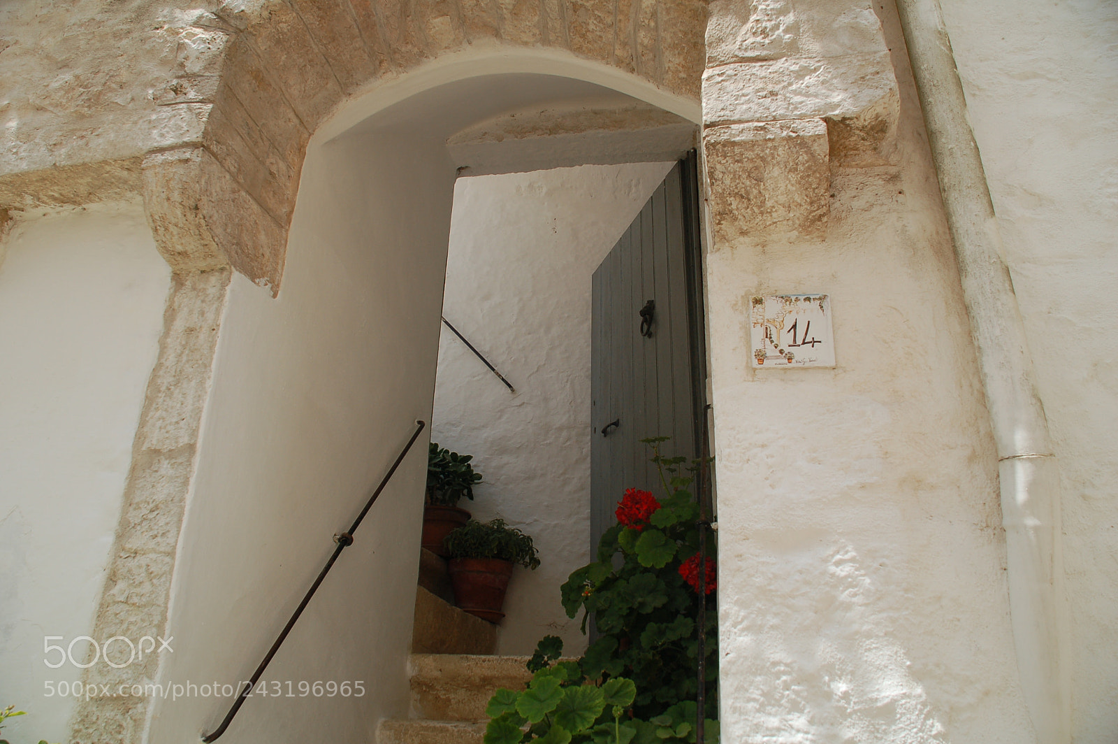 Nikon D50 + Sigma 18-125mm F3.8-5.6 DC HSM sample photo. Dsc photography