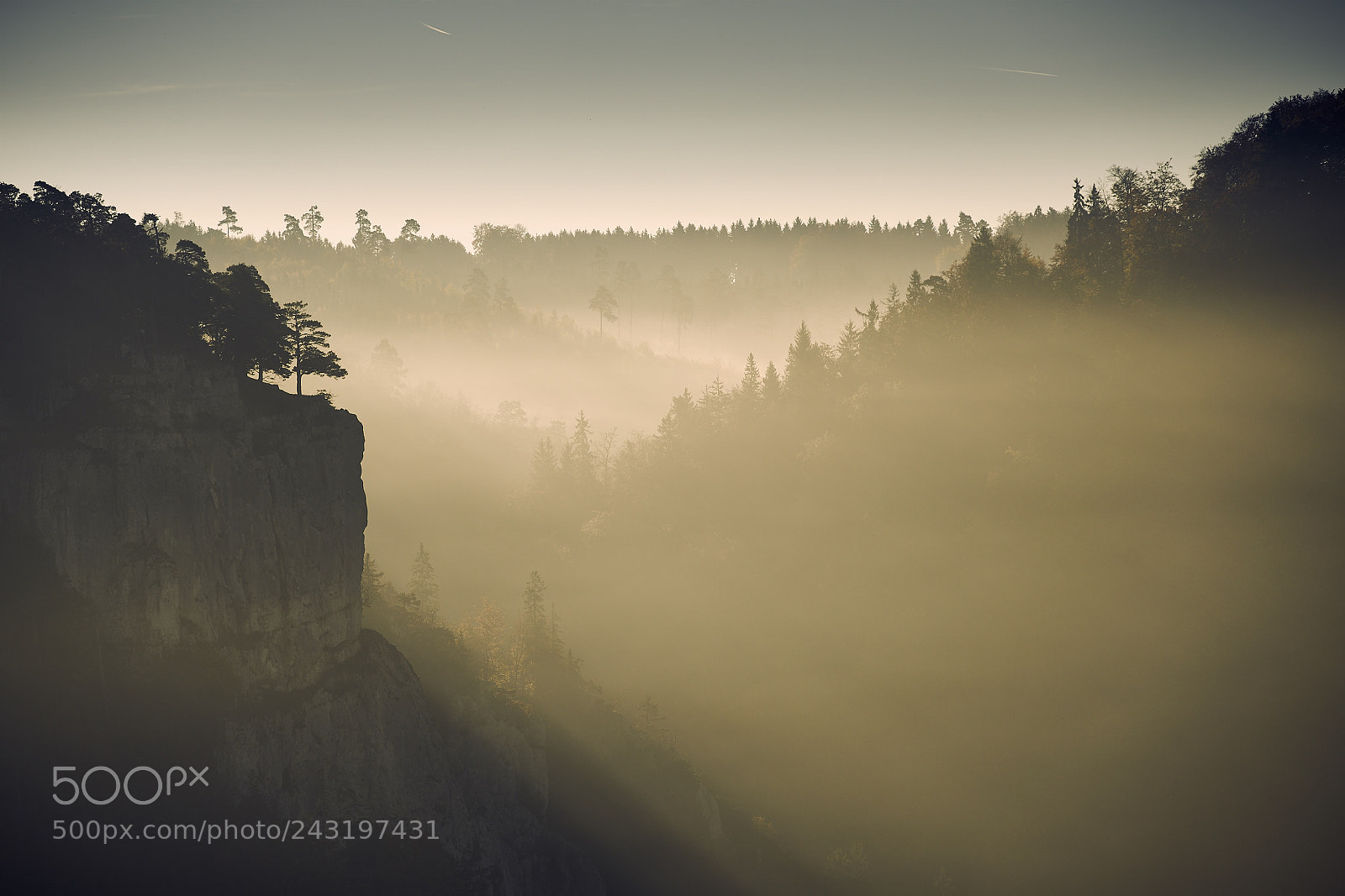 Sony a7R II sample photo. Sunny fog photography