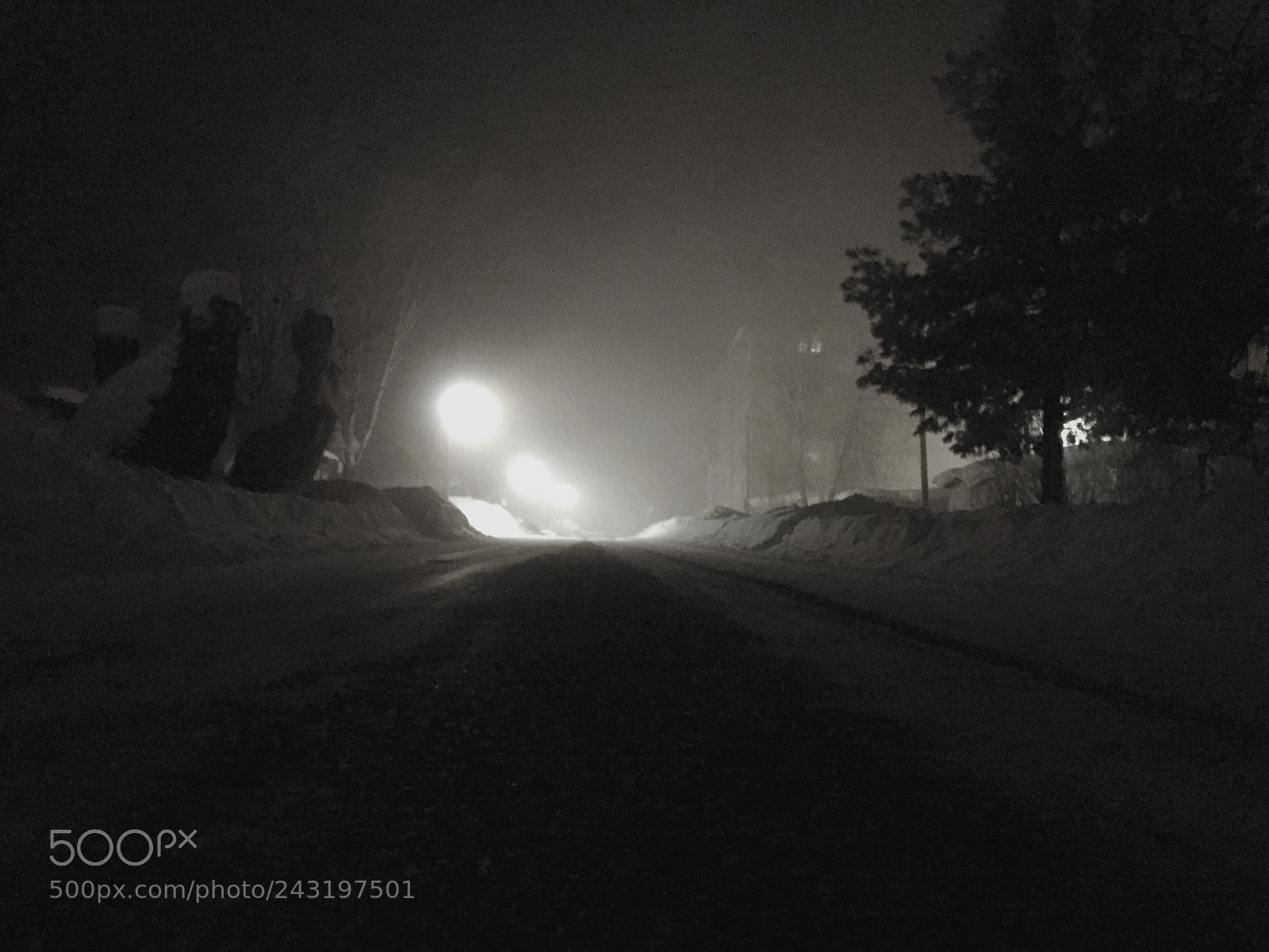 Apple iPhone 6 sample photo. Cold fog. siberia. -45°С photography