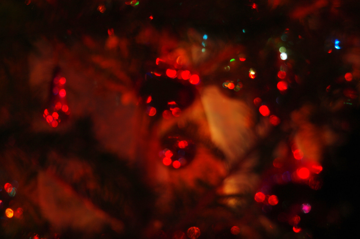 Samsung NX10 sample photo. Not so long ago photography