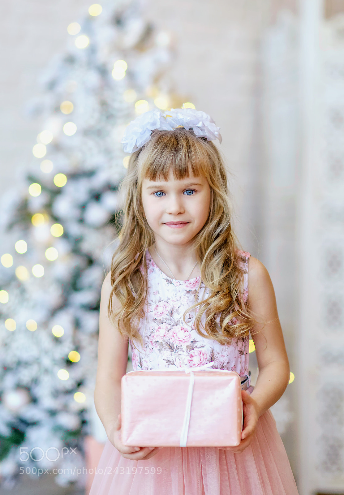 Nikon D810 sample photo. Untitled photography