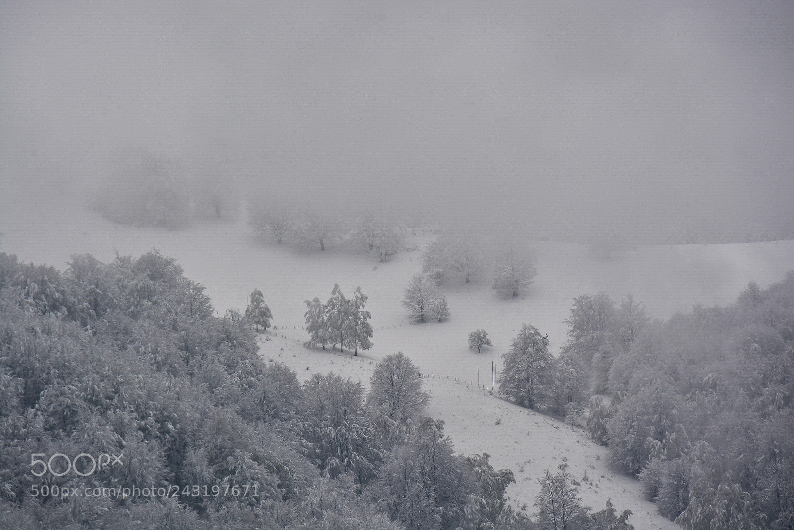 Nikon D7100 sample photo. Winter mode photography
