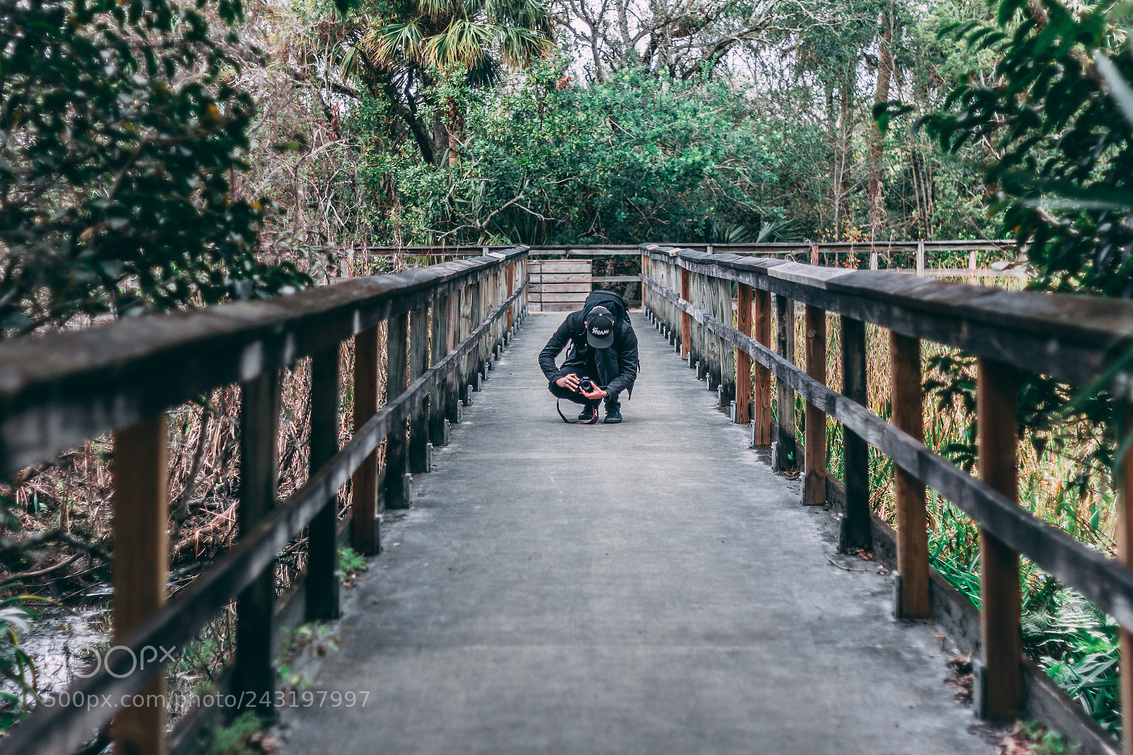 Canon EOS 60D sample photo. Tree tops park photography