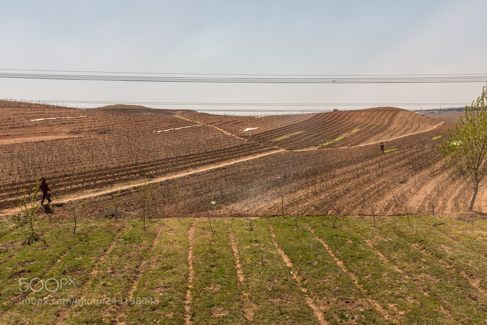 Fujifilm X100F sample photo. Rural sinuiju, north korea photography