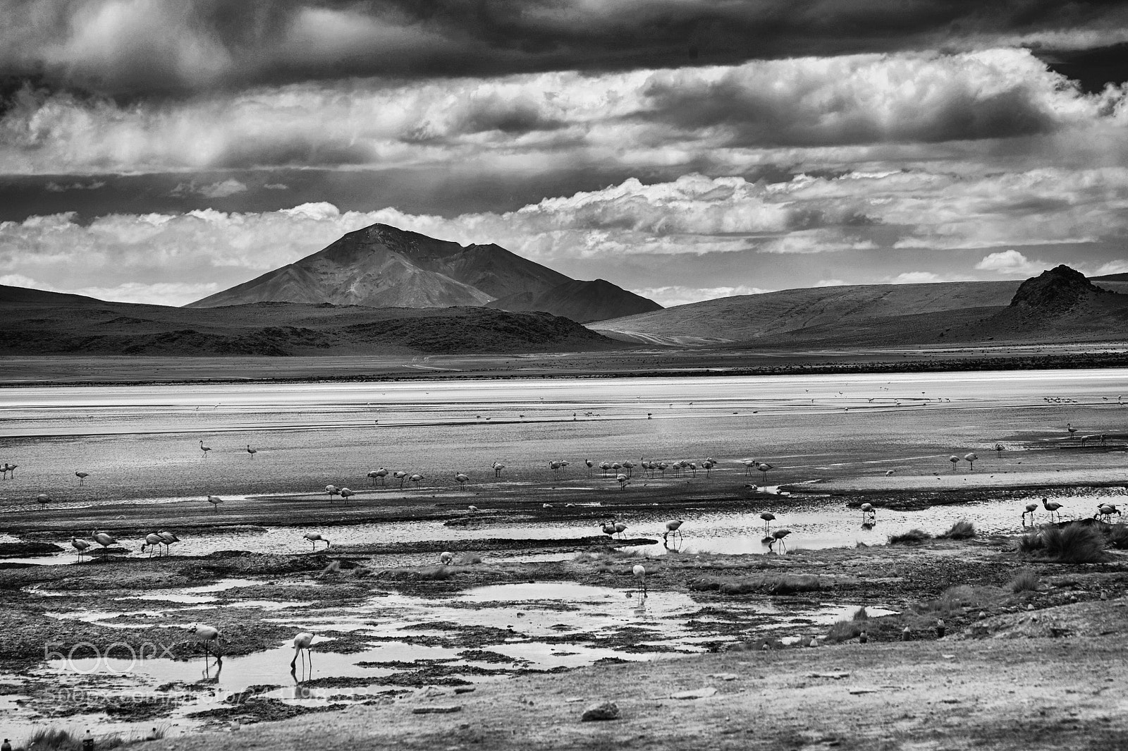 Nikon D700 sample photo. Bolivie lagune rouge photography