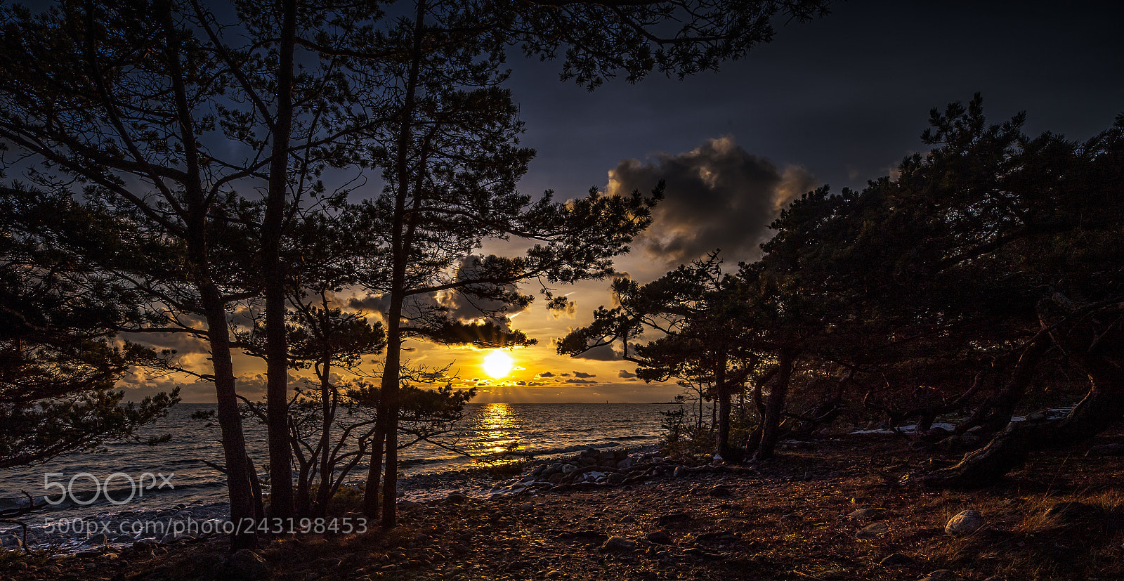 Nikon D5 sample photo. Sweden,torö photography