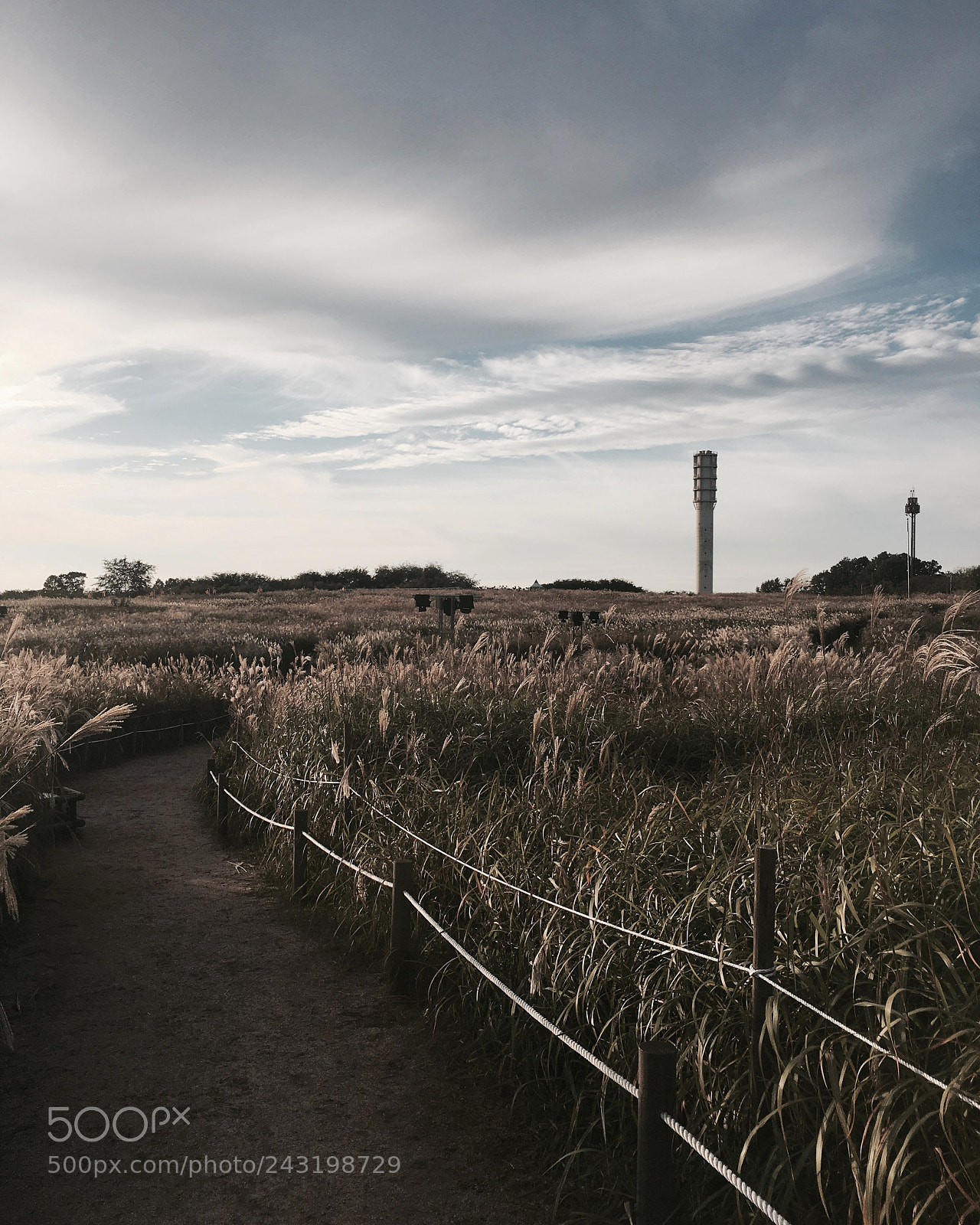 Apple iPhone 6s sample photo. Sky park photography