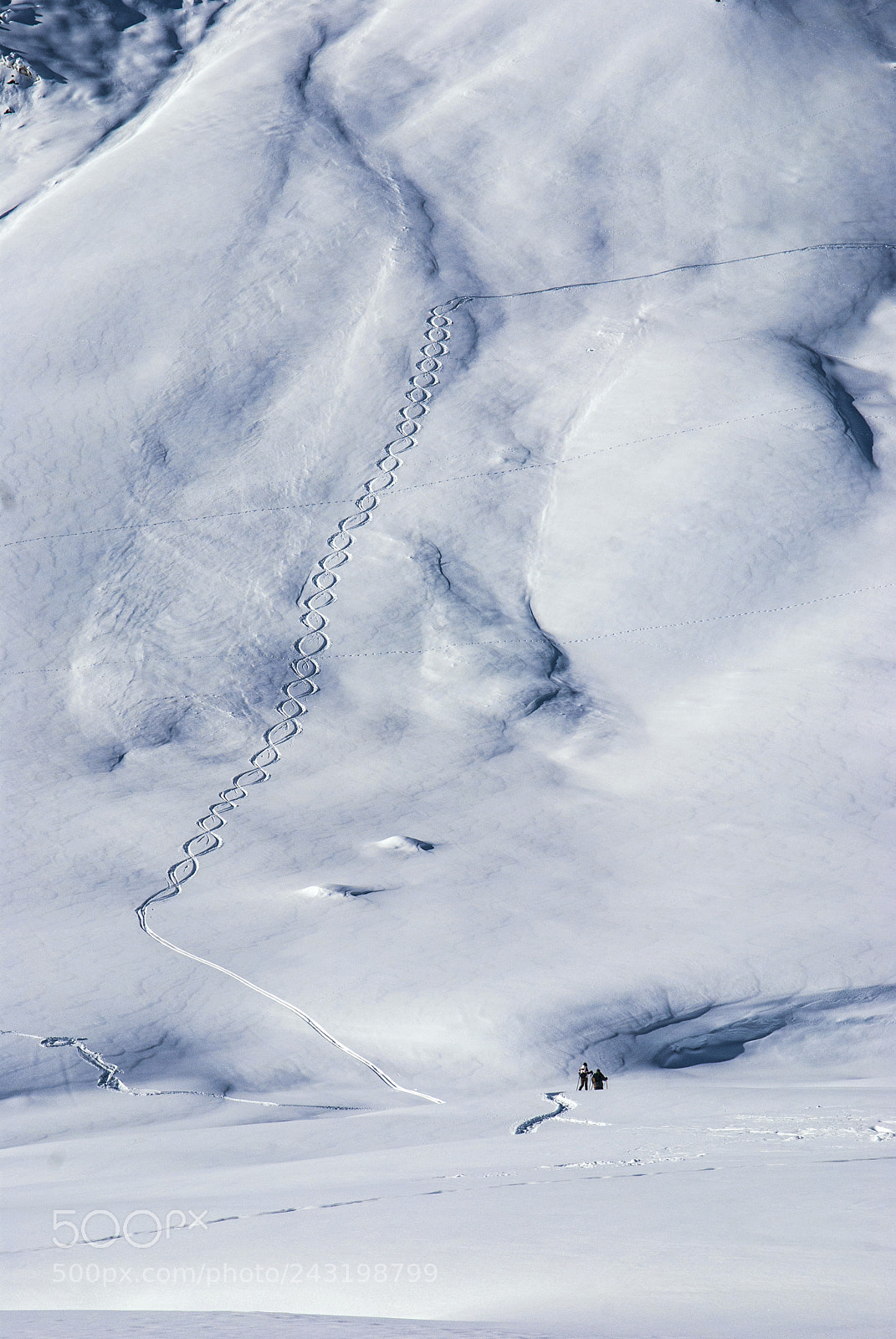 Nikon D80 sample photo. Carved into the snow photography
