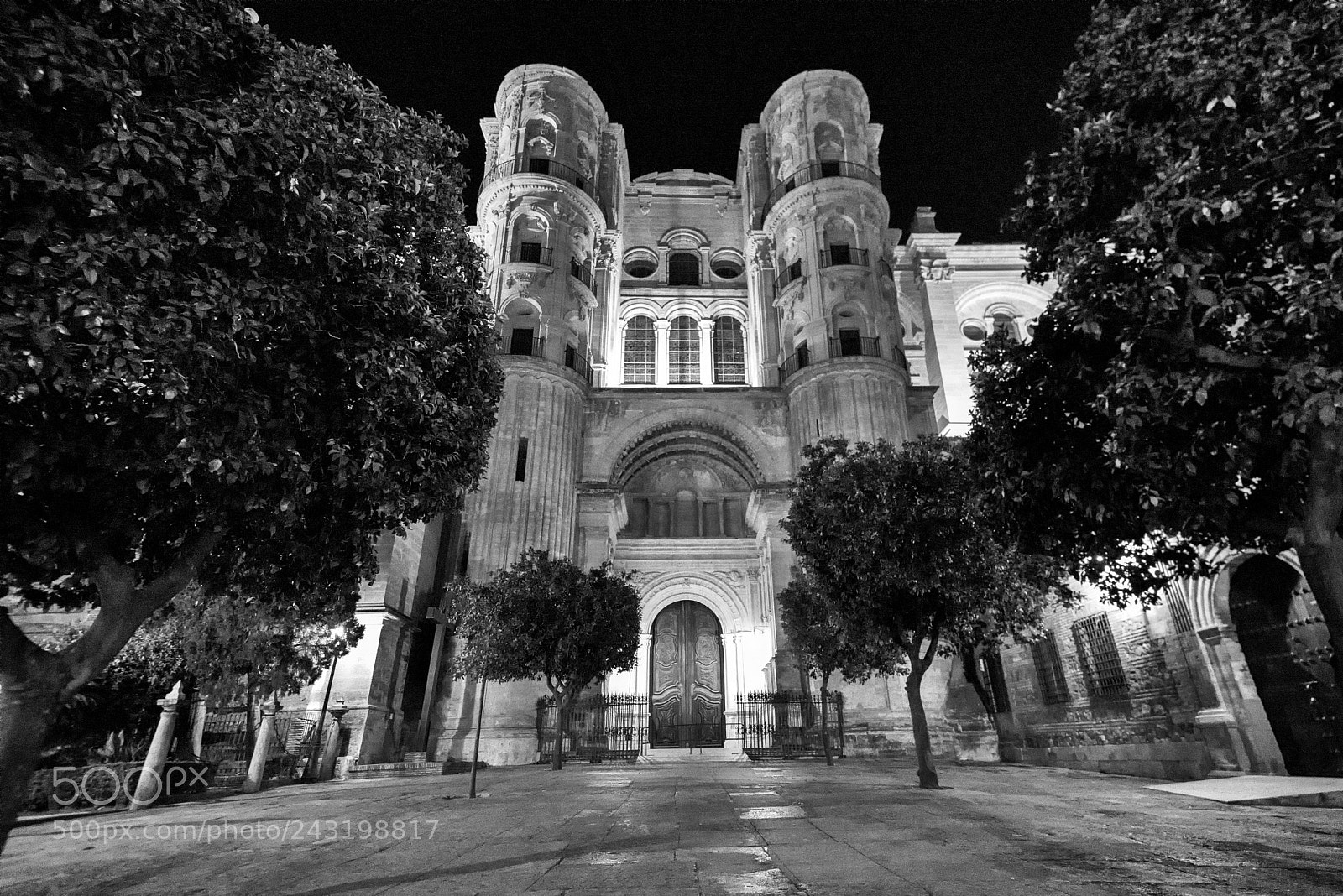 Nikon D800 sample photo. Cathedral of málaga photography