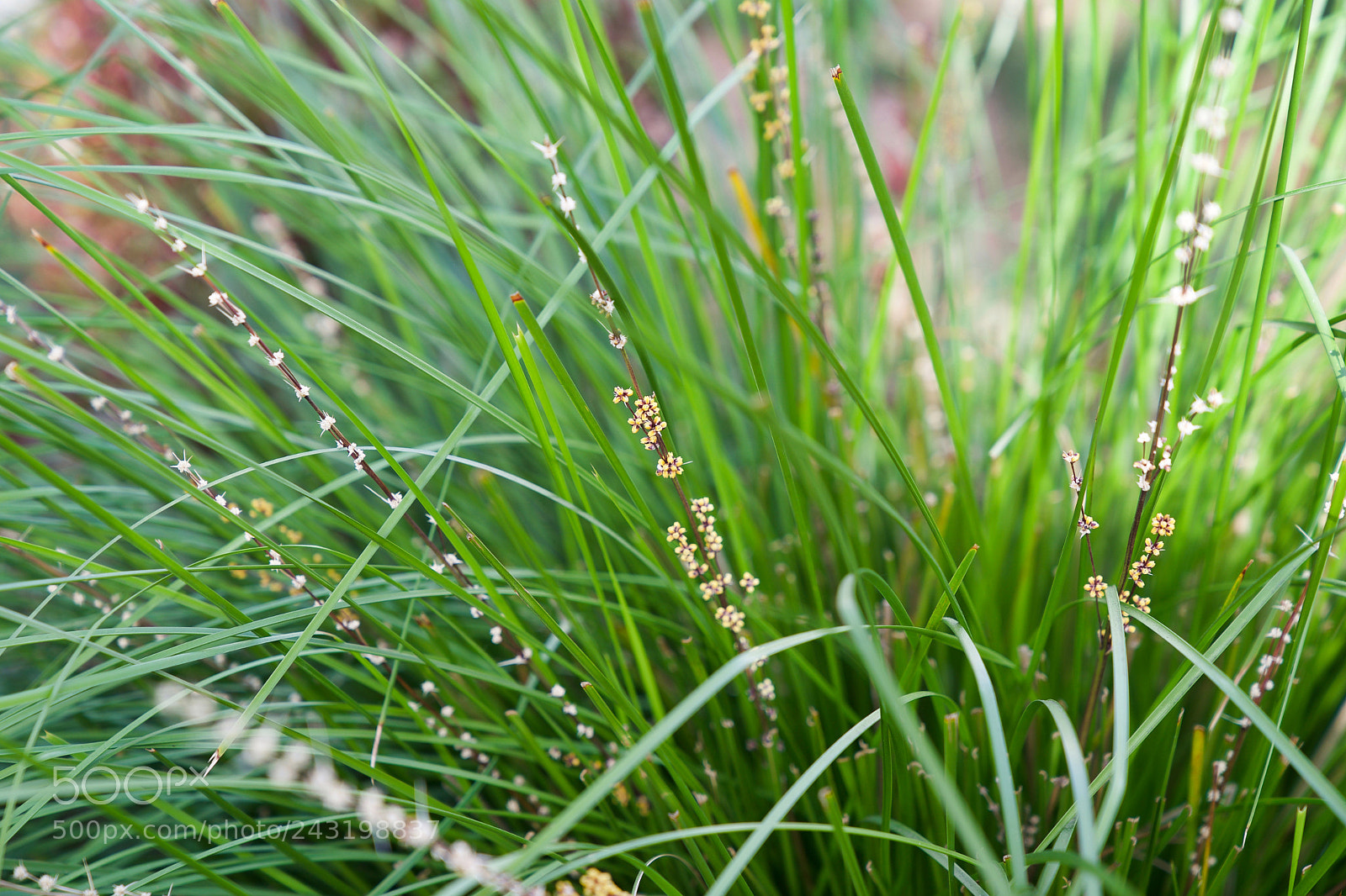 Sony a9 sample photo. Only you can set photography